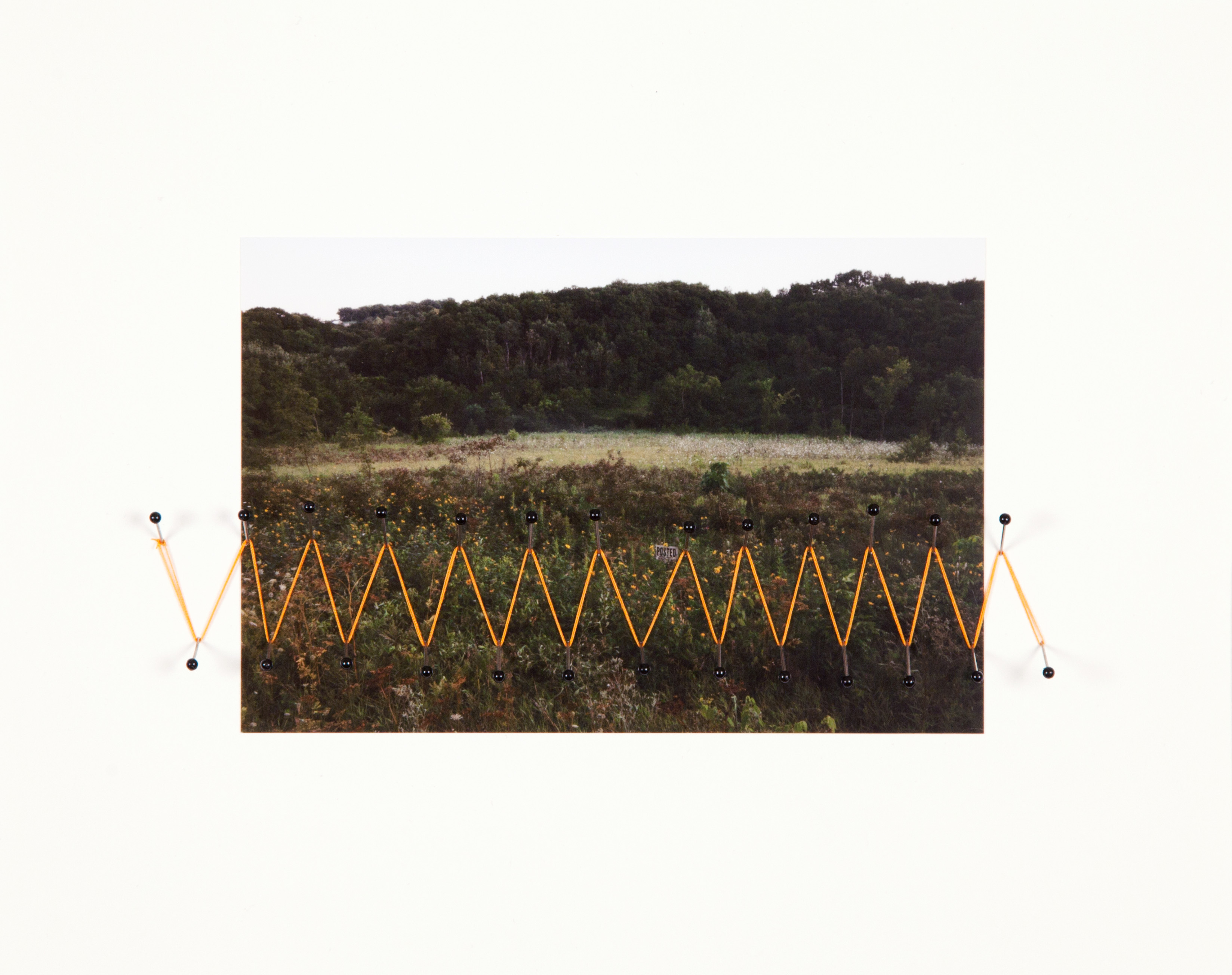 Field Edging #4, Stuben, WI, 2012.