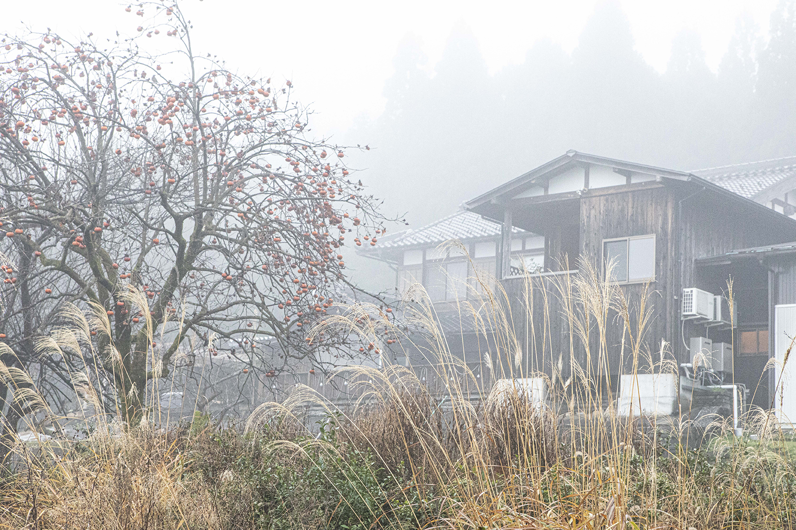 PHOTOGRAPHY RAF STUDIO at  VILLA KUJOYAMA