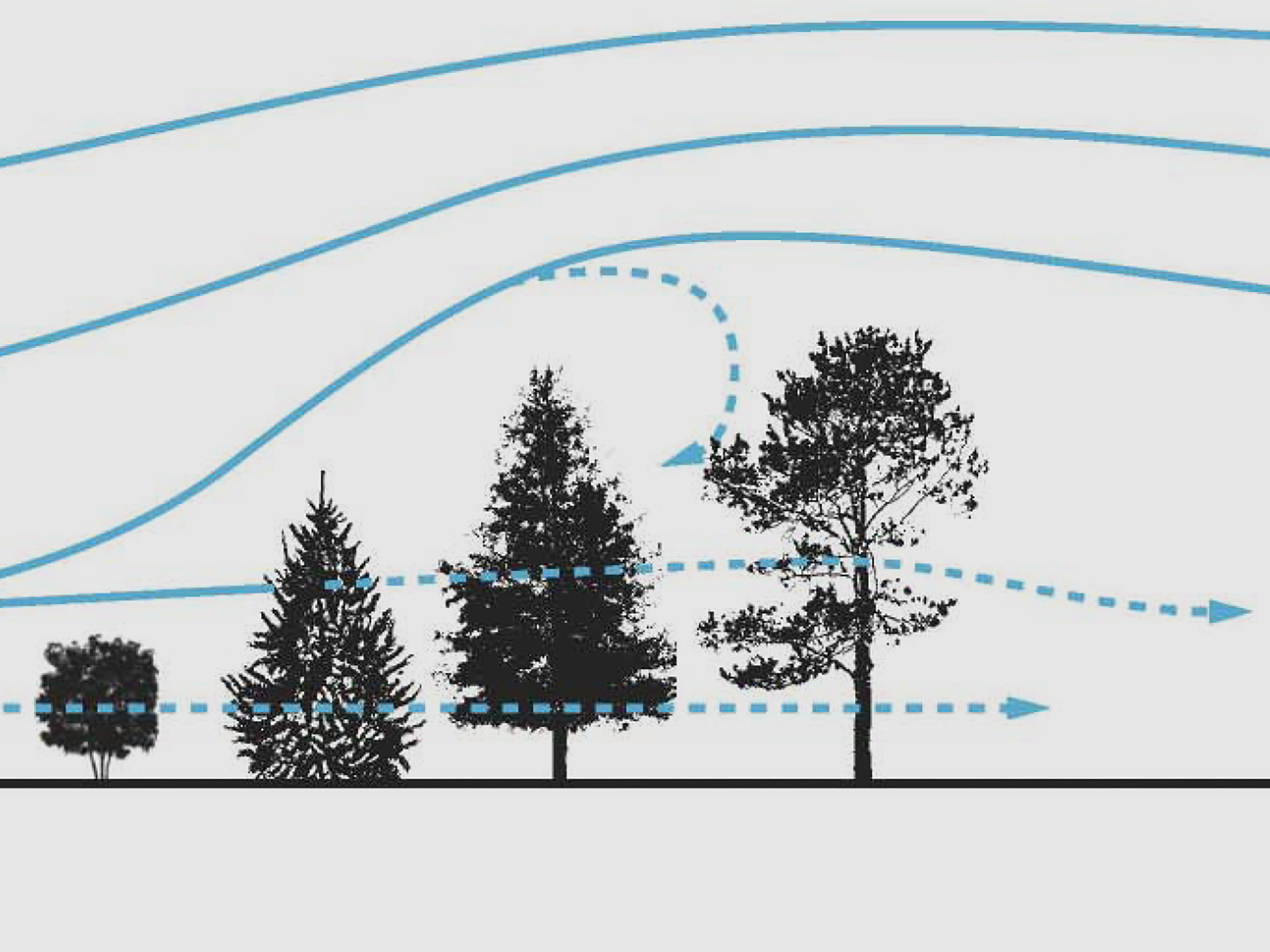 Urban Windbreak Studies