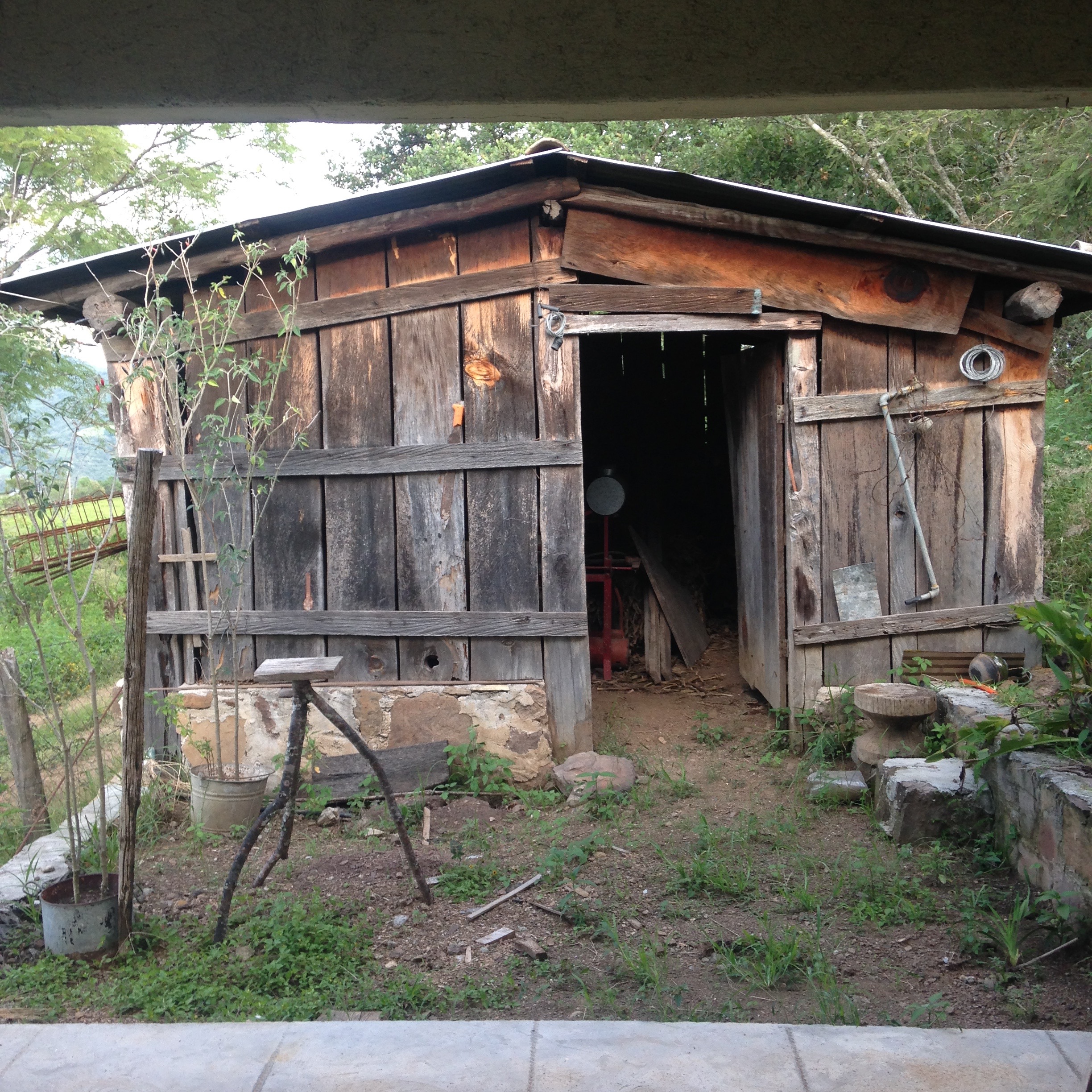 La cosina, 2015. 5x5in. 