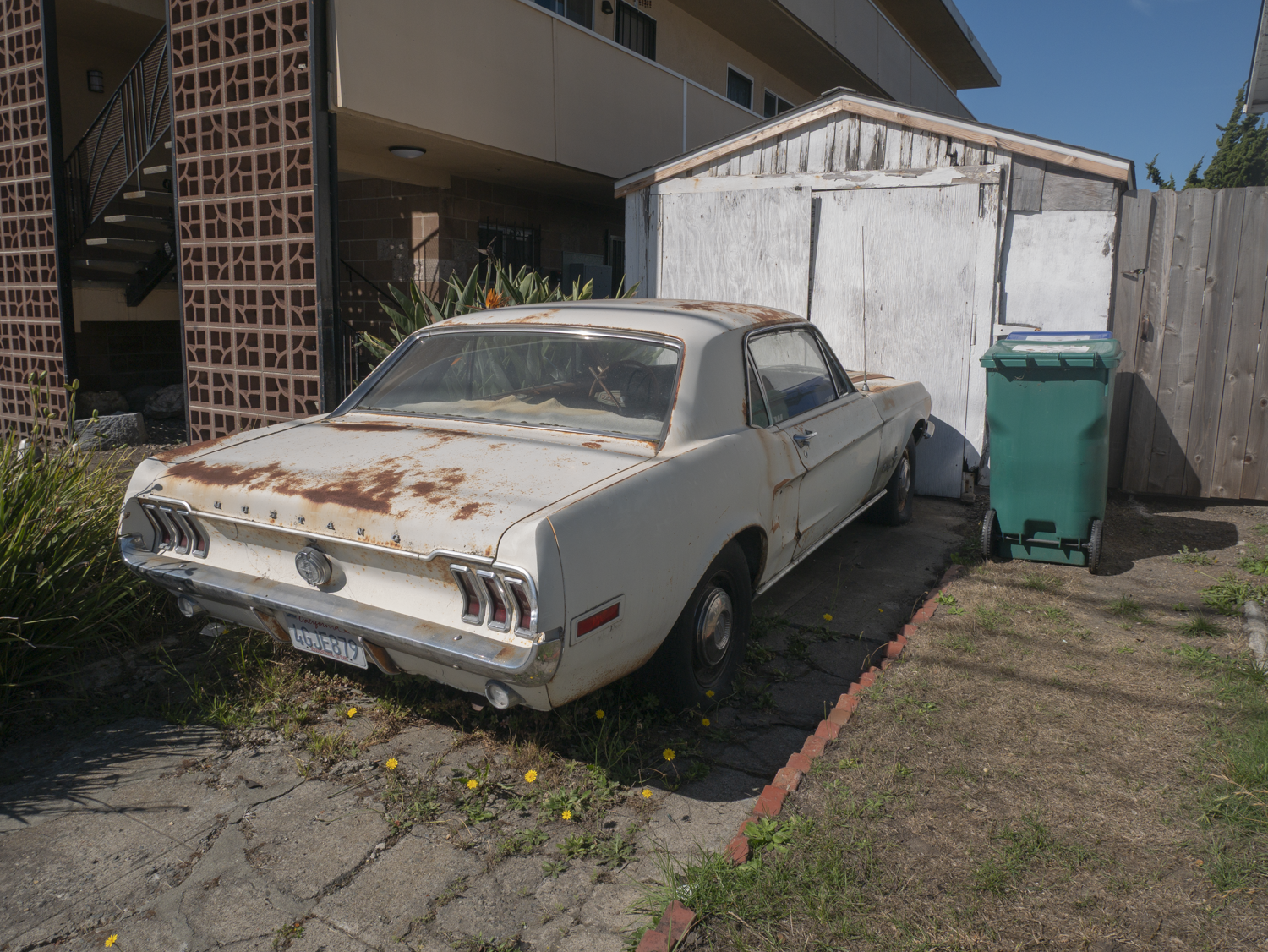 1151 Washington Avenue, Albany