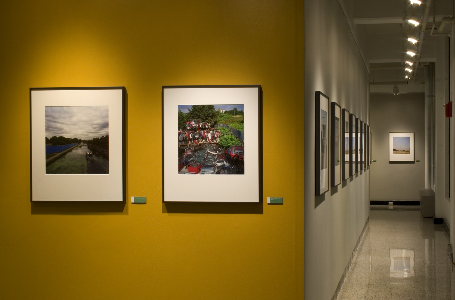 Go for Gold! | Wolk Gallery, MIT Museum, Cambridge, MA, USA | 2010 | Photo by Daniels