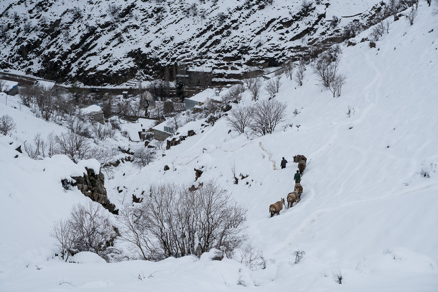 Tawela, Kurdistan, Irak, mars 2019. Dans cette petite ville &agrave; la fronti&egrave;re Irak / Iran, les &eacute;changes de marchandises &agrave; travers la montagne sont la source principale d'activit&eacute;. Celles et ceux qui transportent la marchandise &agrave; dos d'homme ou de mule sont appel&eacute;s Kolbars. Hidayat a 22 ans. Il fait ce travail &laquo;&nbsp;&agrave; cause de la mis&egrave;re et de la malchance&nbsp;&raquo; depuis qu'il a 15 ans. &laquo;&nbsp;On porte les marchandises de Taw&ecirc;la jusqu'&agrave; la moiti&eacute; de la montagne et l&agrave; on les livre aux kolbars. Ca prend environ 40 minutes. De ce c&ocirc;t&eacute; ce n'est pas dangereux. C'est pour les kolbars de l'autre c&ocirc;t&eacute; qu'il y a du danger.&raquo;