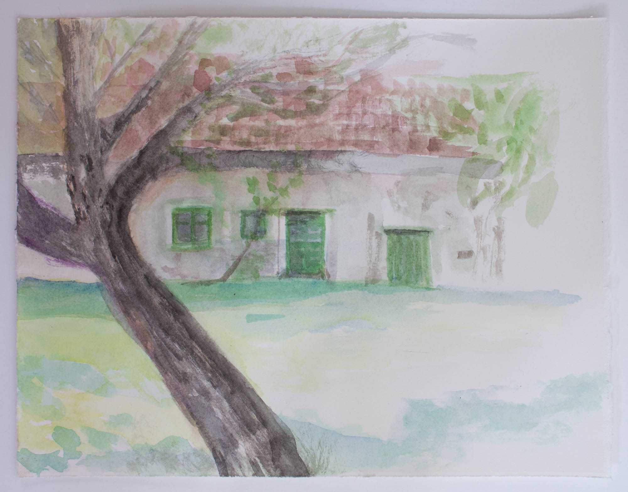 Tree, Watercolour, 2020, 25,5x33cm