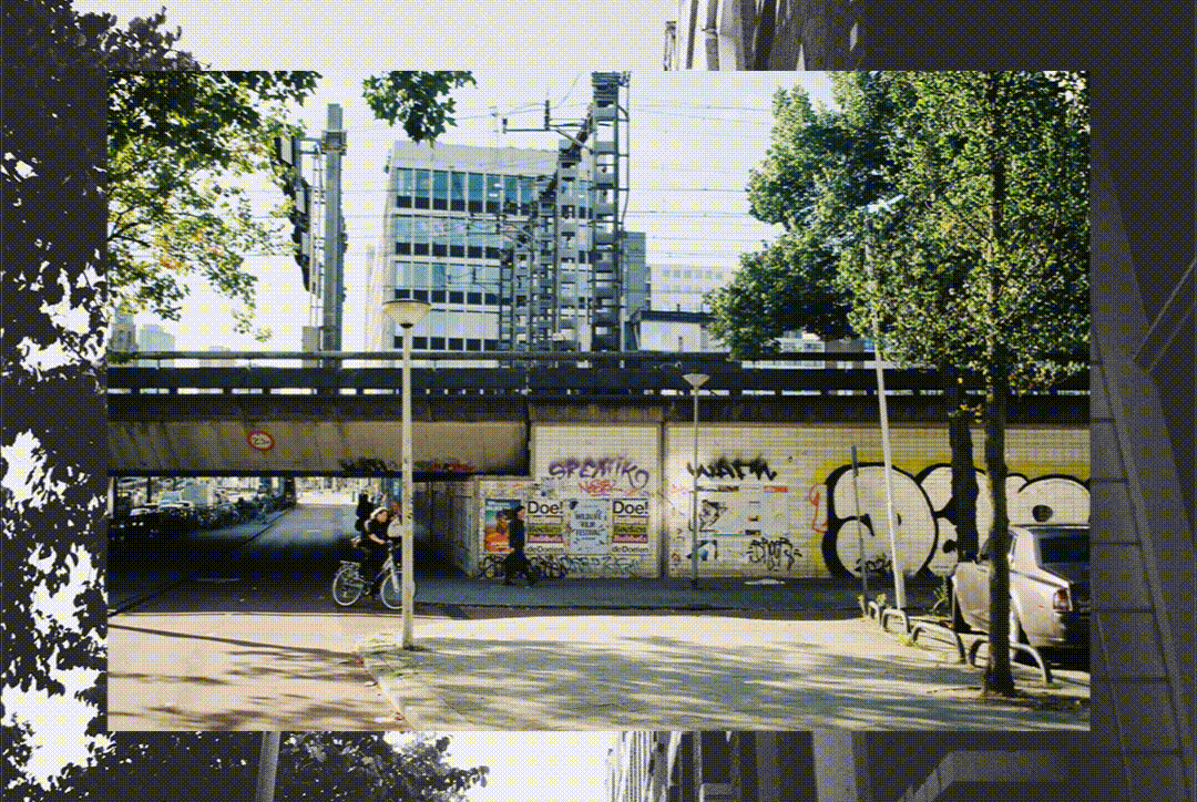 Analog photos of Rotterdam 2022