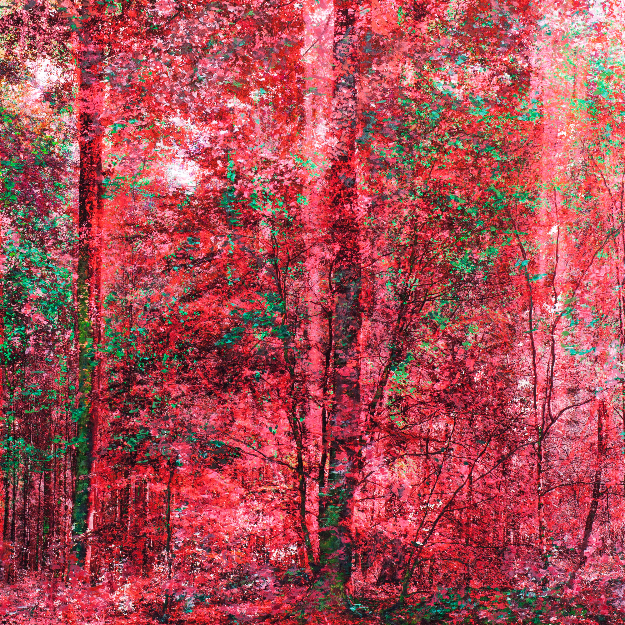 "Songe", rose, 90x90cm, 2022