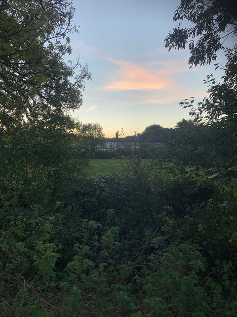 Sally and Chris walk in Cambridgeshire and offer their view of a blue sky with a splotch of pink the in the middle, framed by trees, with a small white house and a great lawn visible under the sky.