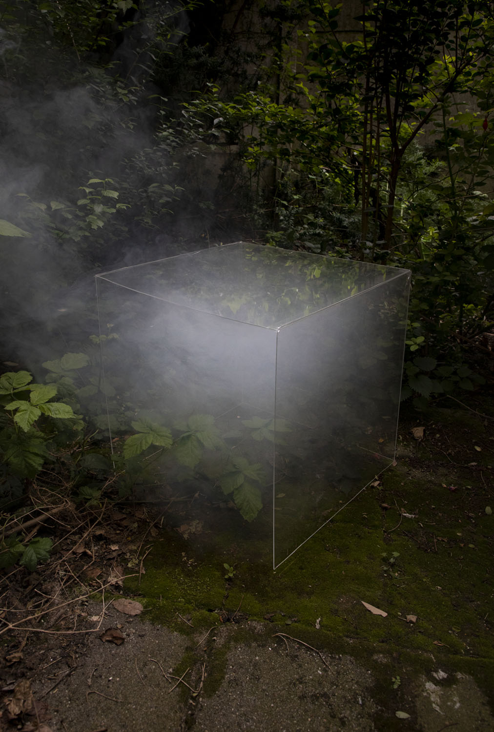 work in progress (2019)