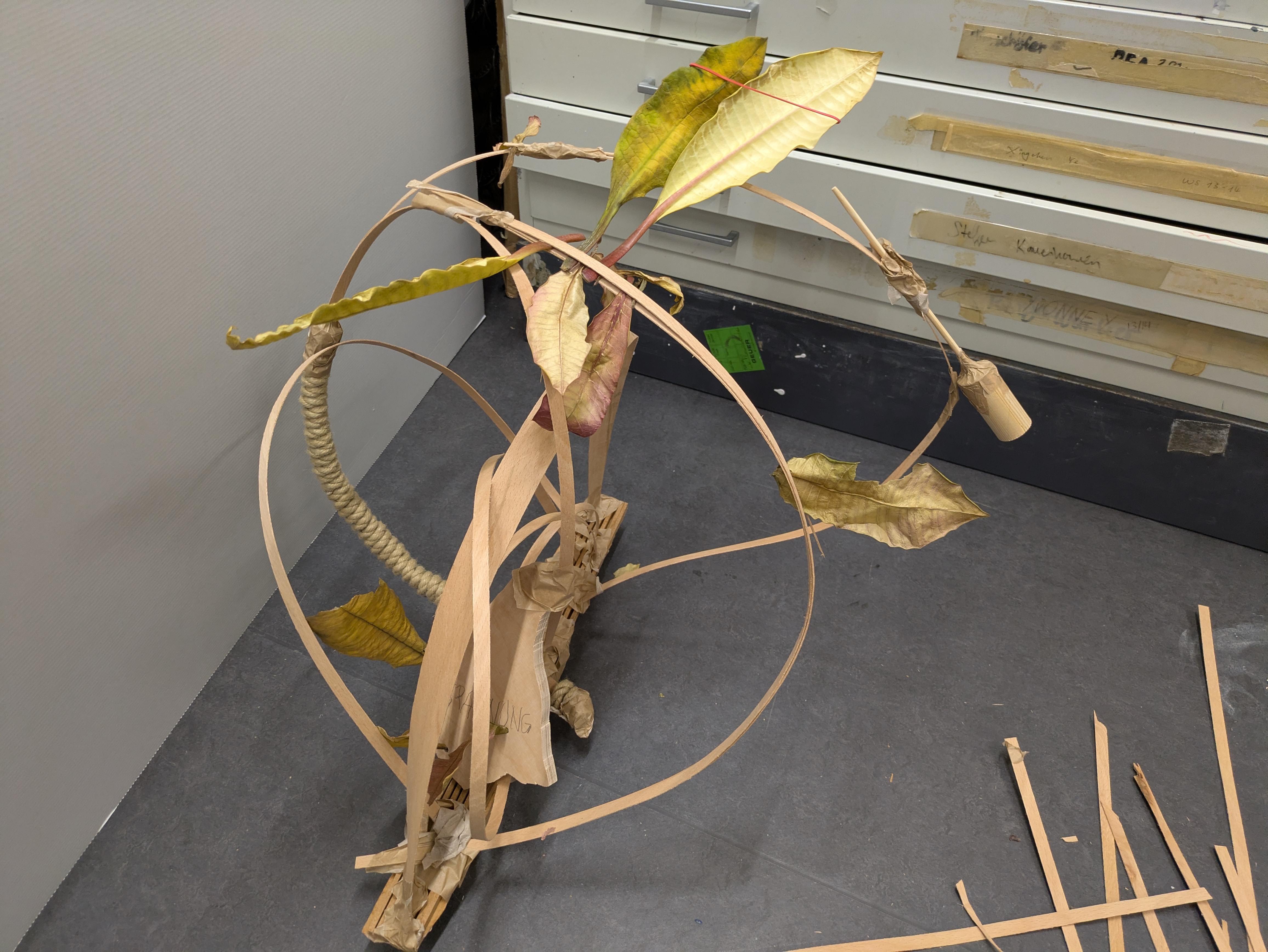 Sculptural object exploring the idea of tension, wood, jute rope, and dried leaves.