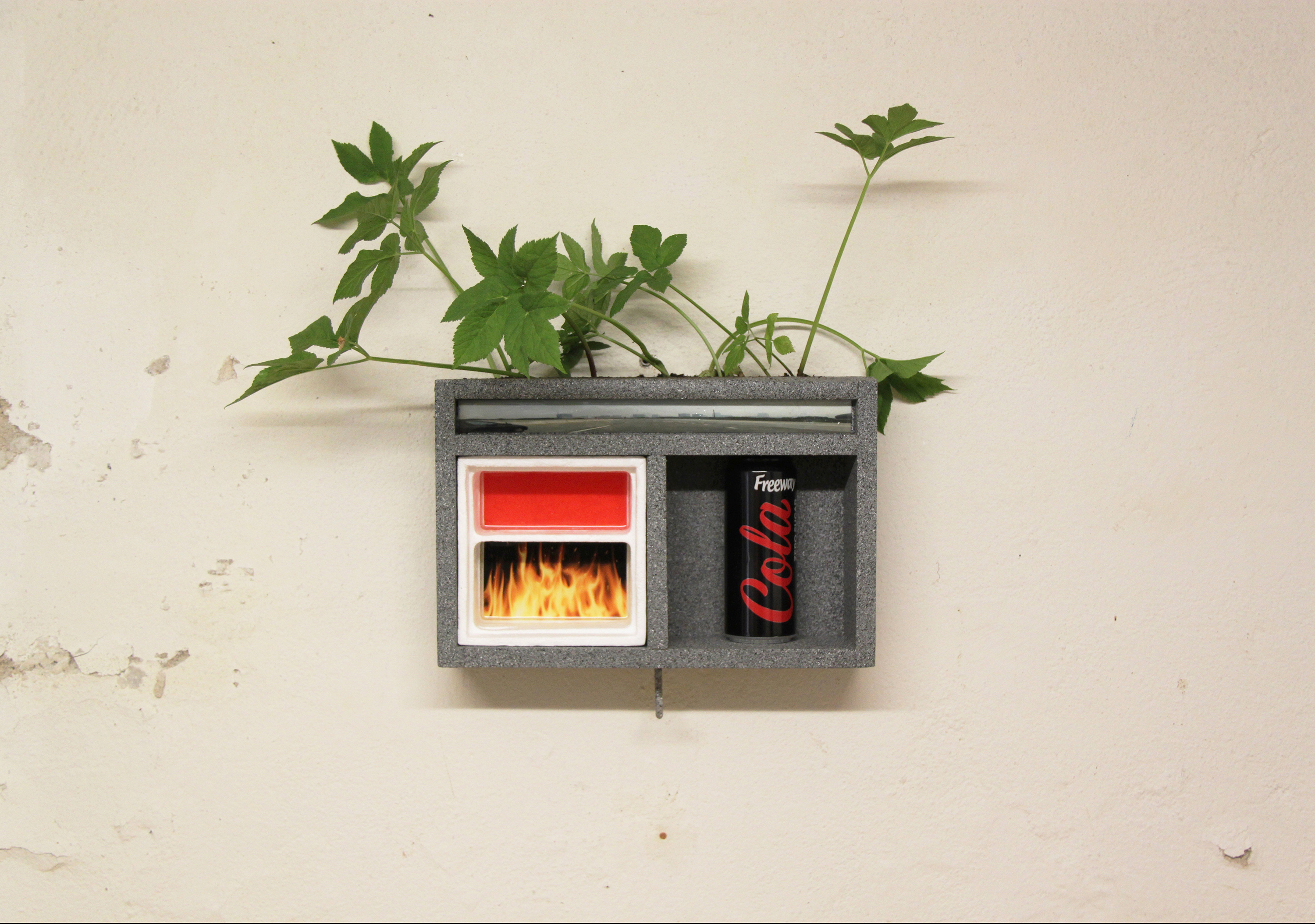 compartment for a soda can and a planter,                               2025, 30.5cm x 24cm x 8cm, soda can, plants, soil, wood, stone textured spray paint, images, styrofoam, resin