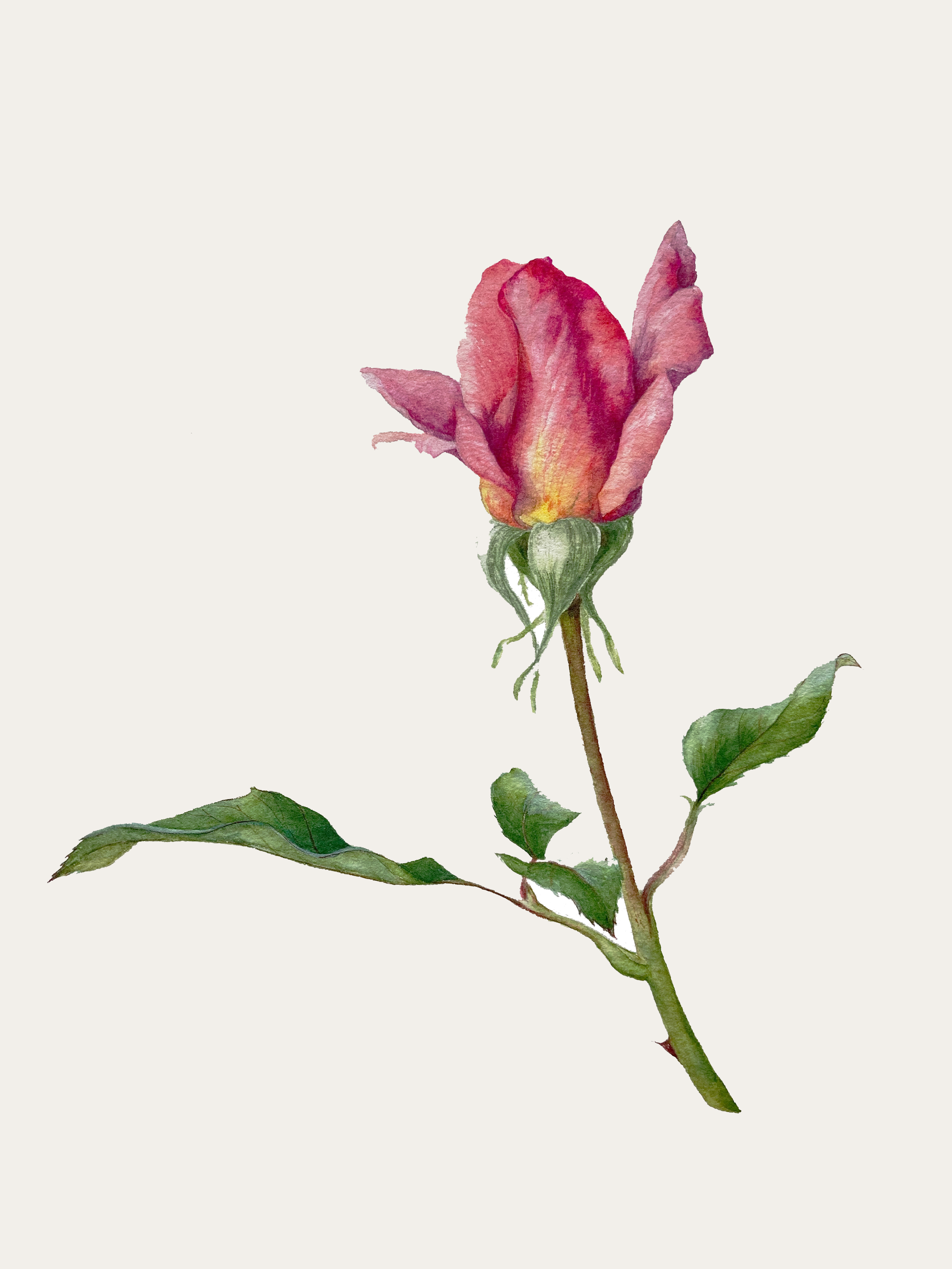 Have some compassion