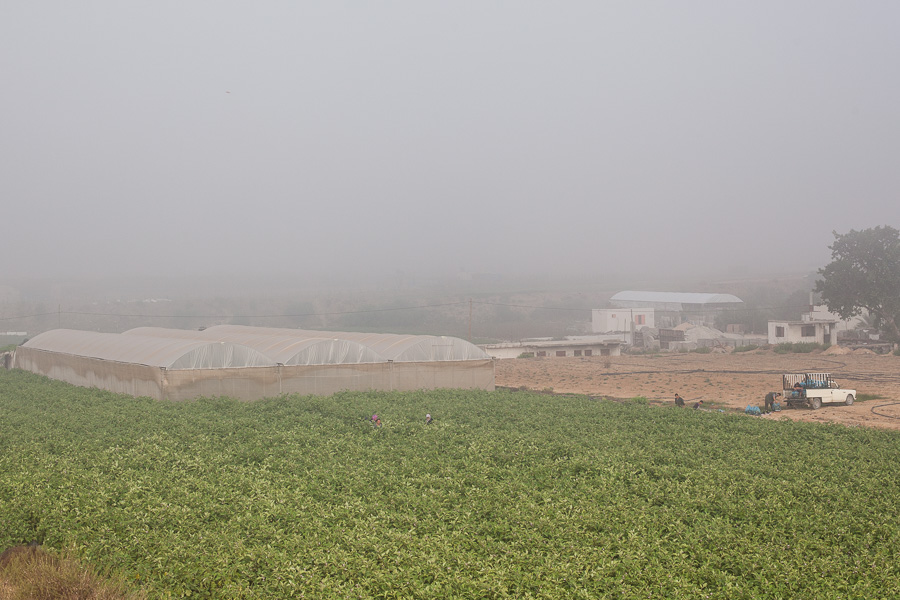 Juillet 2012, Beit Lahiya, petit matin