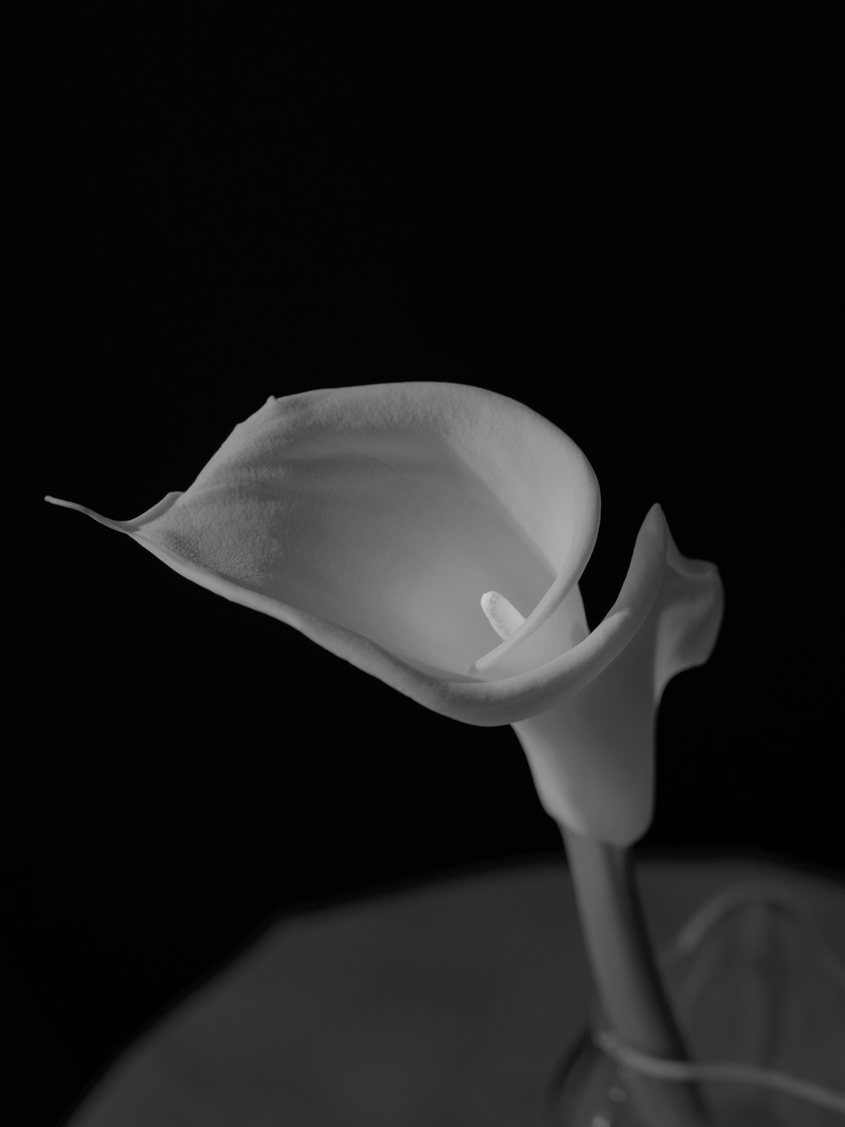 BLÆHR VASE FOR NEW WORKSThe Blæhr Vase tests the boundaries of mouth blown glass with a timber moulded form that grows with each edition. An organic object that pushes and pulls the hot glass to take a unique and irregular form. Reflections hit the undulating exterior of the vase; complete with bubbles and streaks lifted from the timber mould, to create a centerpiece with depth and character.Go to product page →