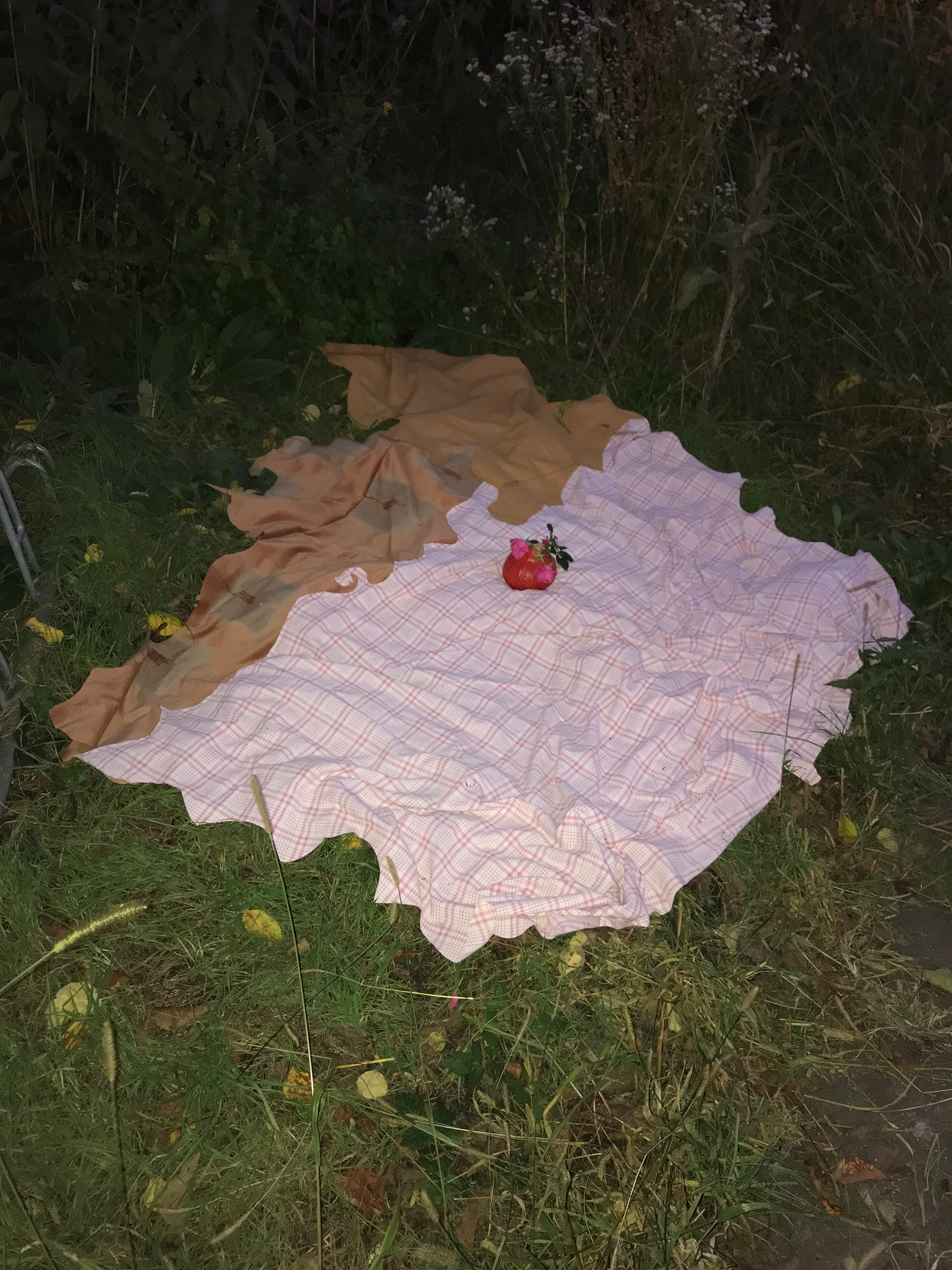 Image from gathering called "The bean crunches and other edible things," in a Kleingarten in Leipzig, Germany, 2021