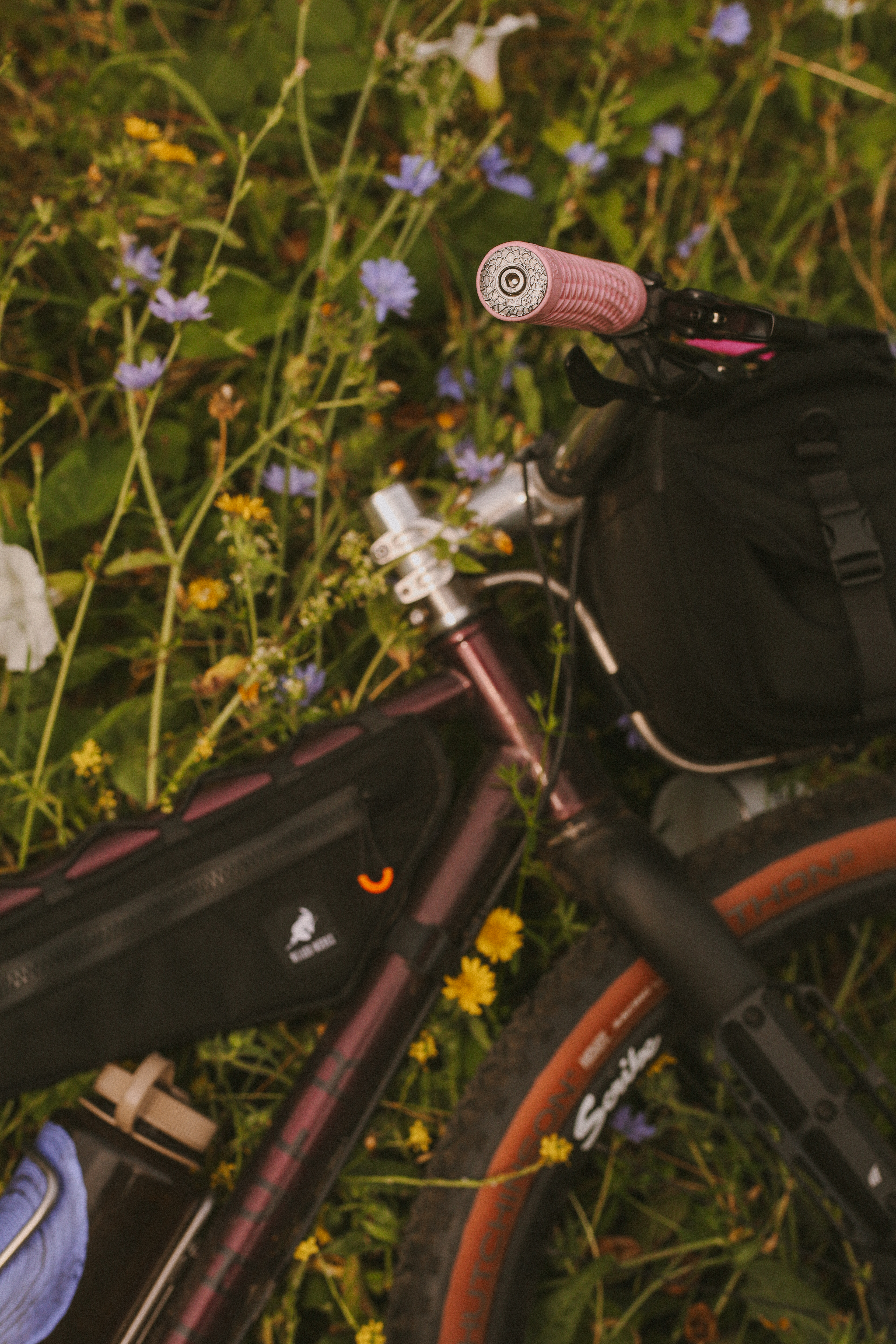 HEX COMPONENTS #Photography