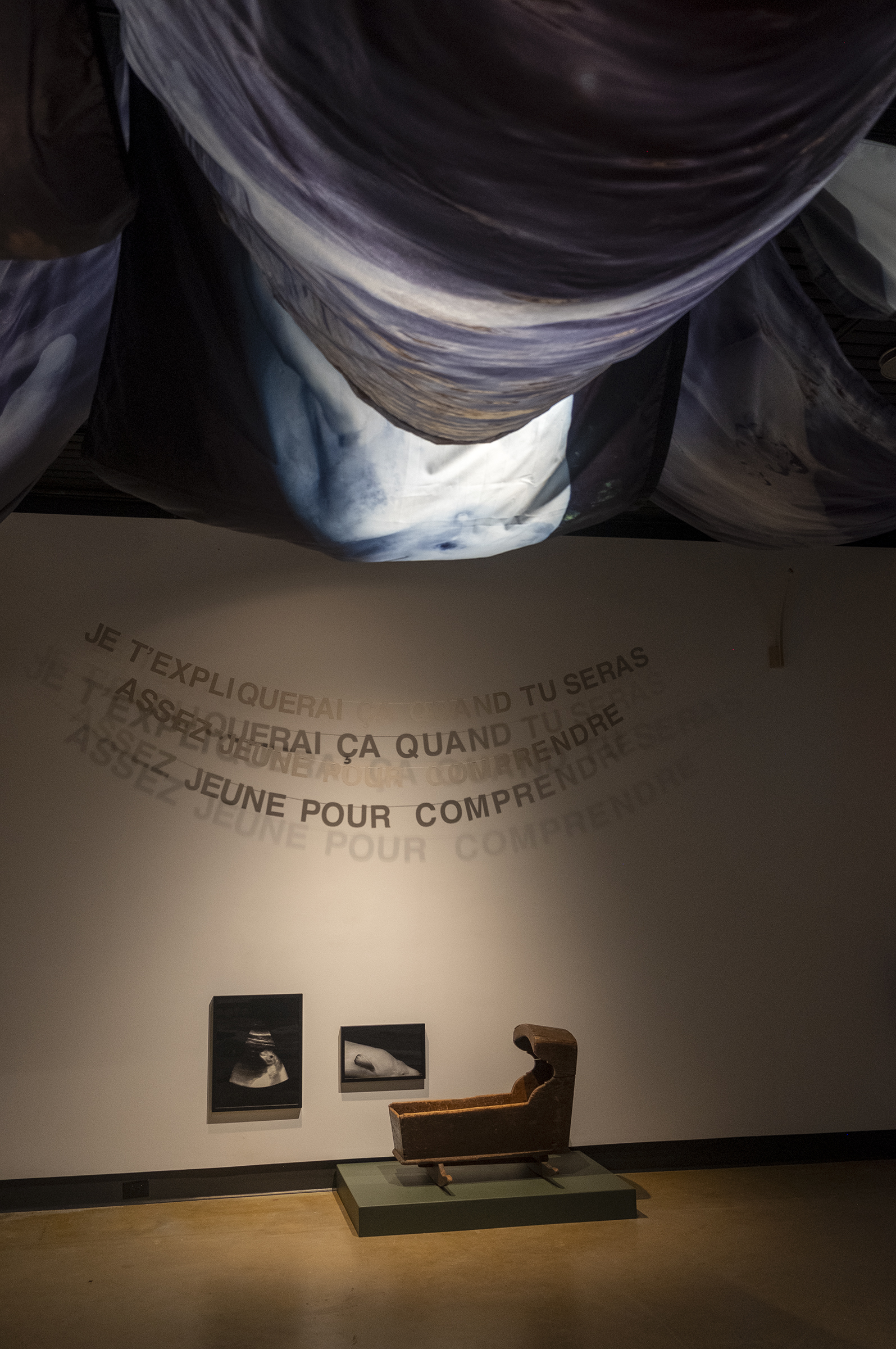 Dans l'œil du béluga, Galerie d’art Louise-et-Reuben-Cohen de l'Université de Moncton, 2025