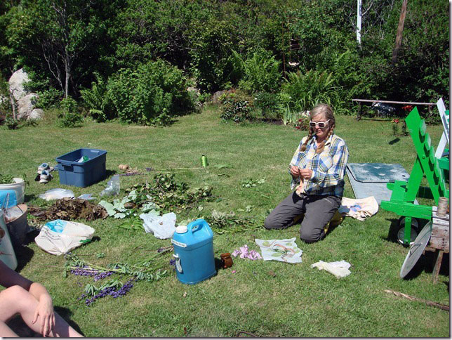 Natural Dyeing chez Nancy