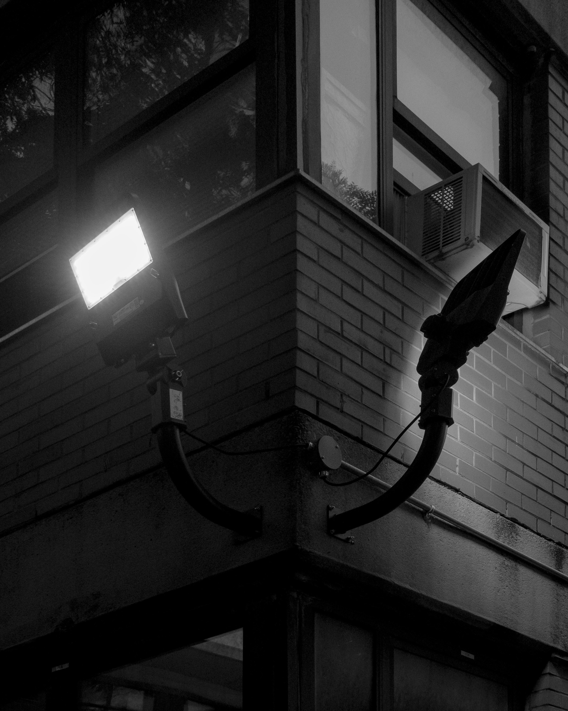 Sources of Self-Regard for The New York Times