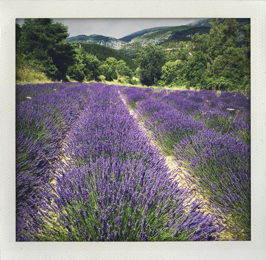 Esparron de Verdon 07/2020