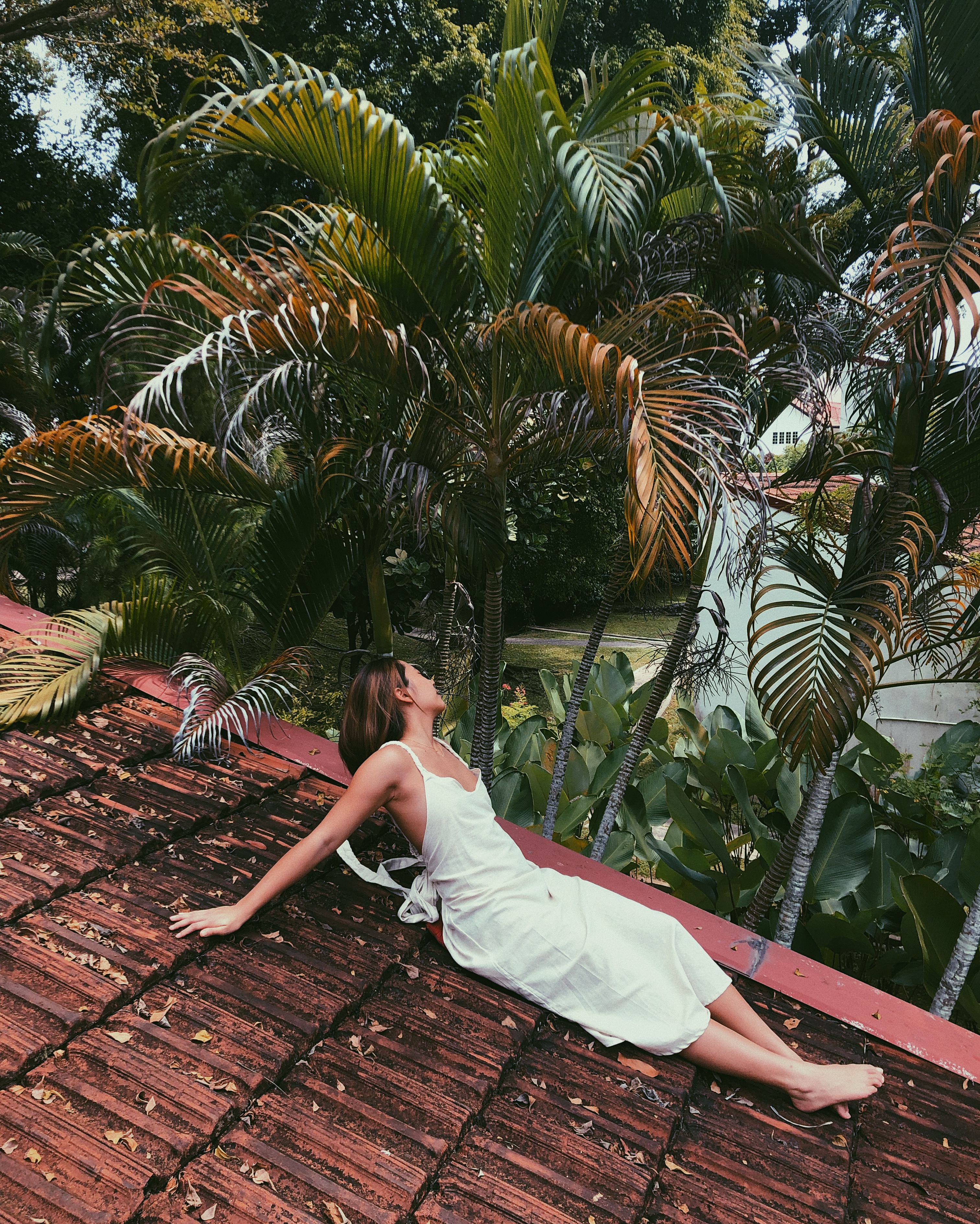 click on image to download video