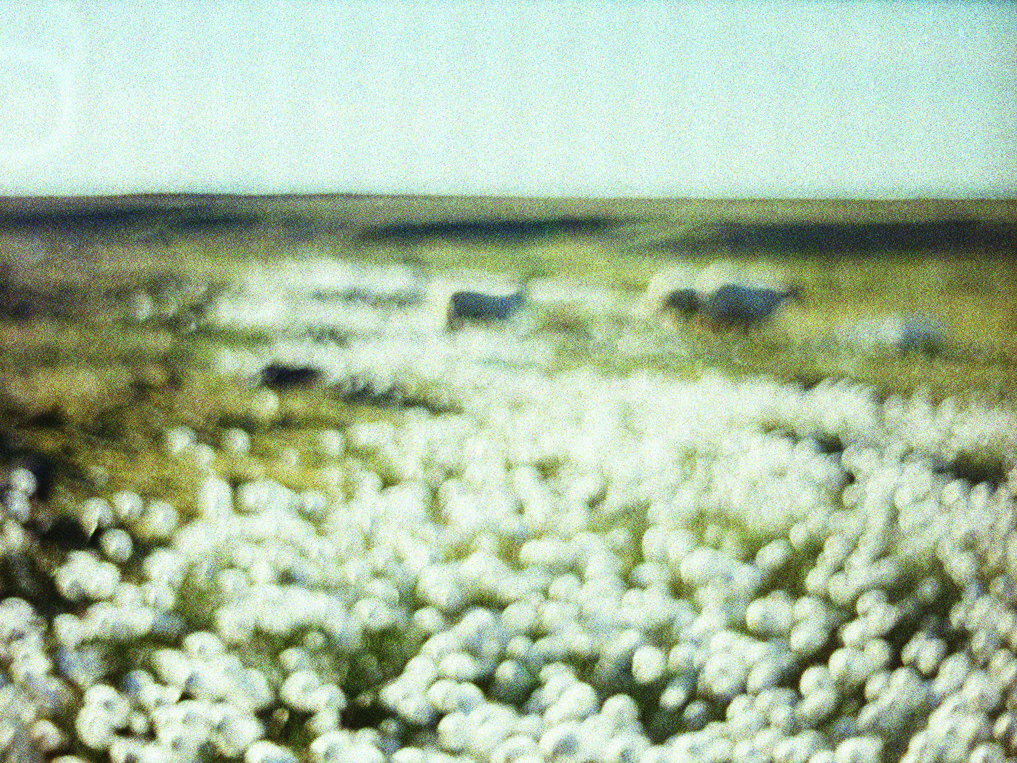 Karahnjukar 003, 2006. Lightprint and plexyglass. h: 15 x w: 20 in.