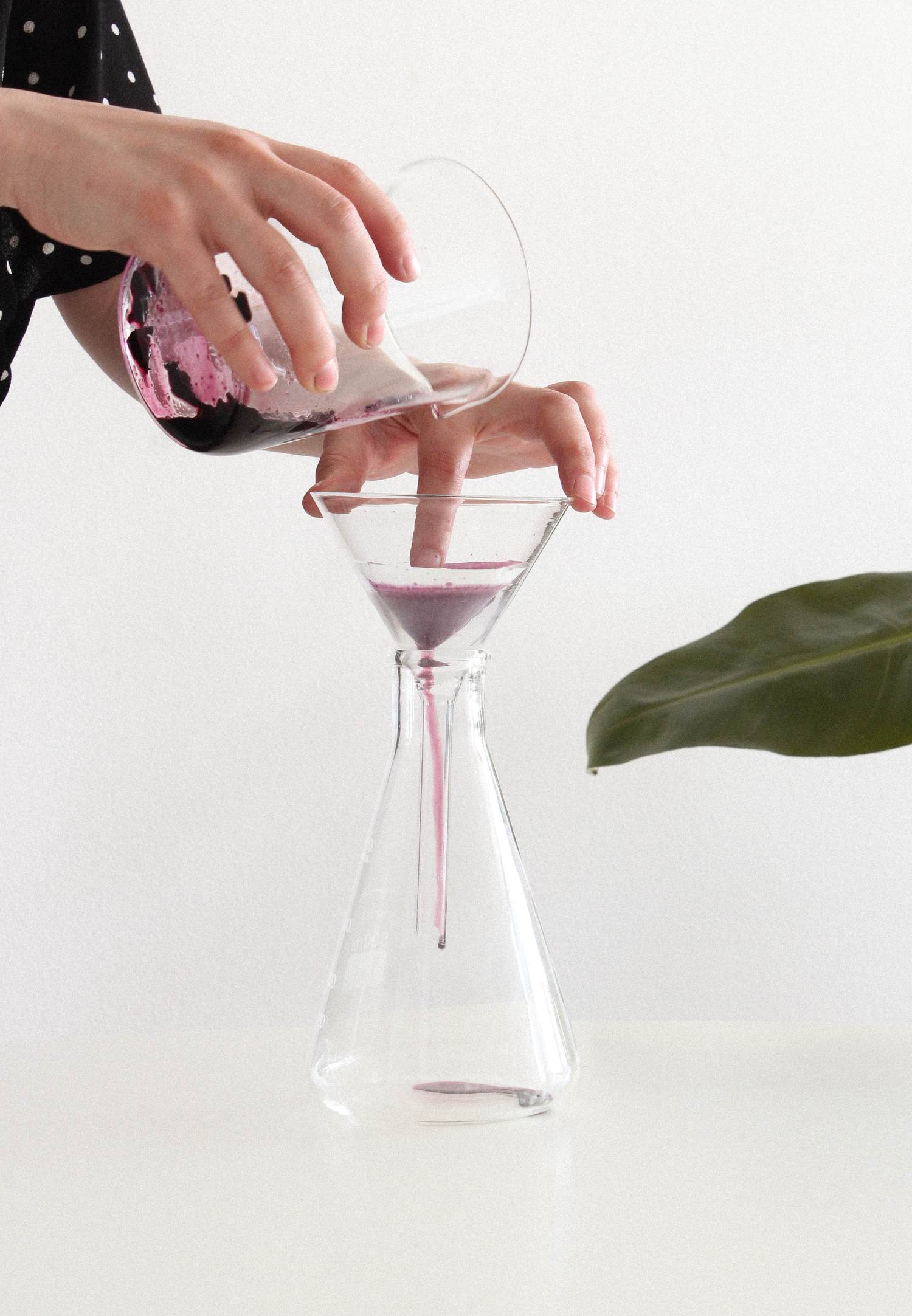 Margarita Talep algae-based bioplastic process