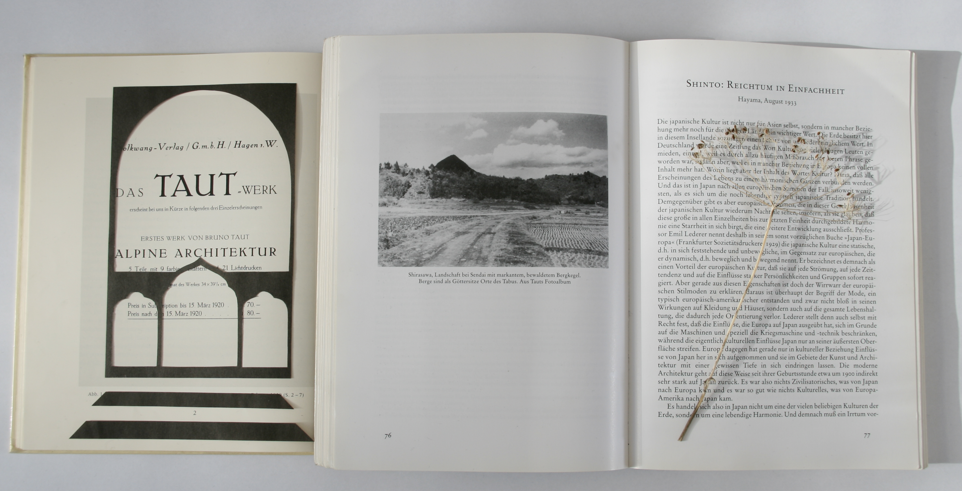 Der Weltbaumeister,     Ich liebe die japanische Kultur, 2010, Fotoprint, 29,3 x 57 cm