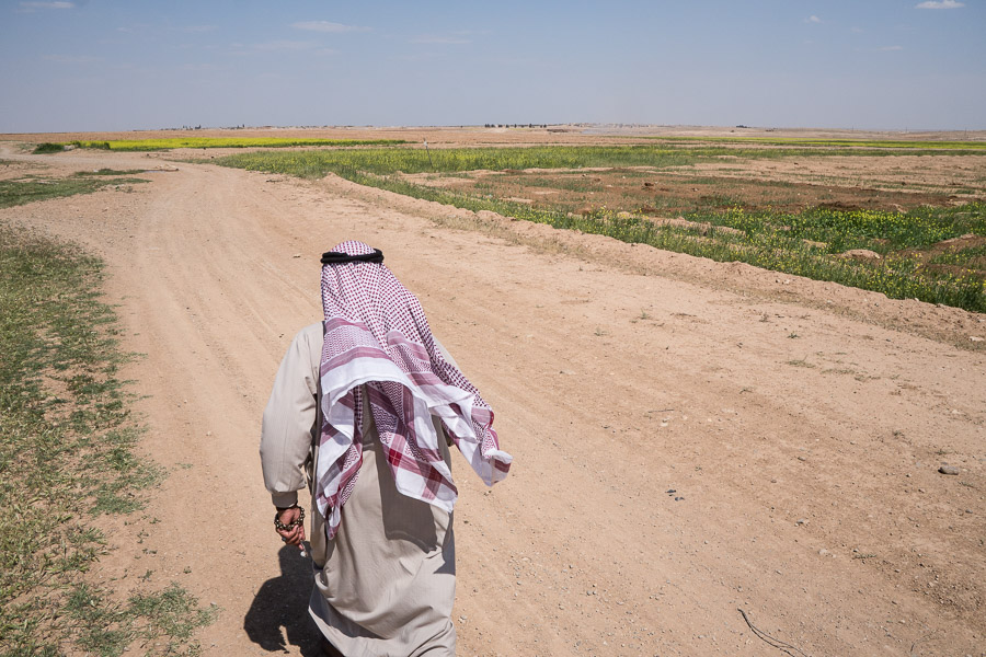 Environs de Tabqa, Syrie du Nord, avril 2018. Abu Haidar poss&egrave;de les champs qui l'entourent sur la photo. D'apr&egrave;s lui, la situation s'est aggrav&eacute;e au cours de la derni&egrave;re ann&eacute;e, du fait notamment des faibles pluies.