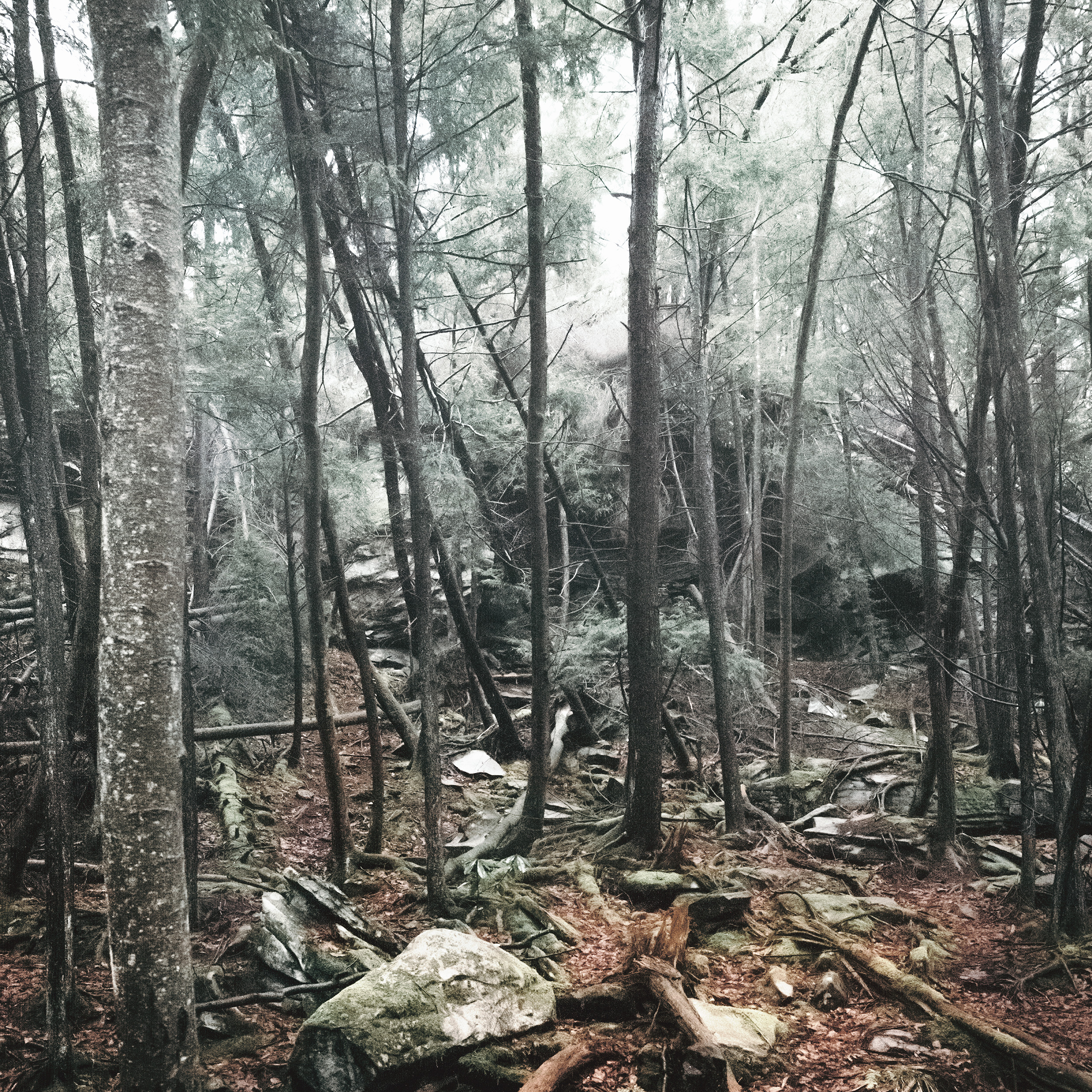 Lost in the Woods / Moment of Inertia