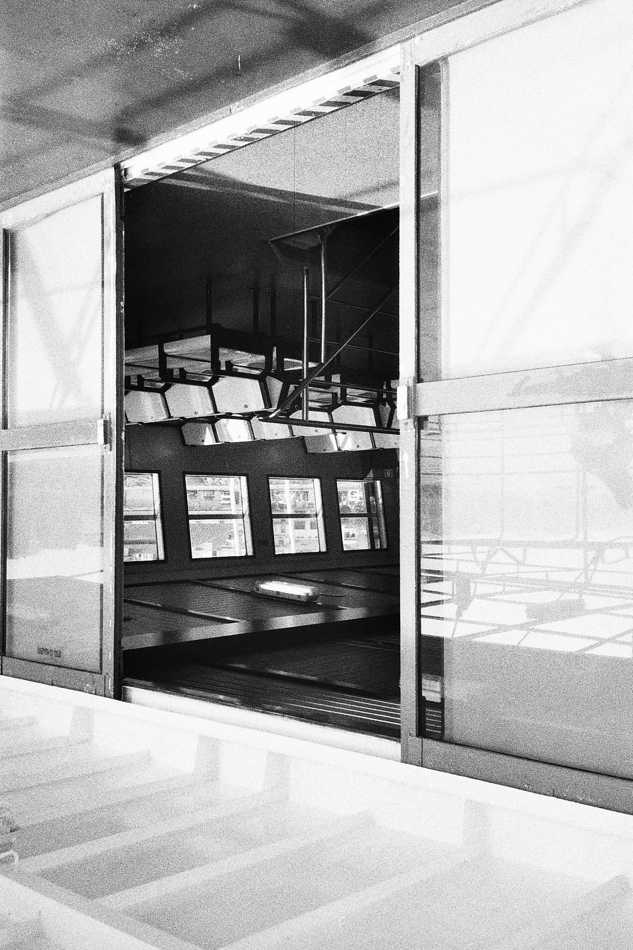 cies (dilara + kazim)