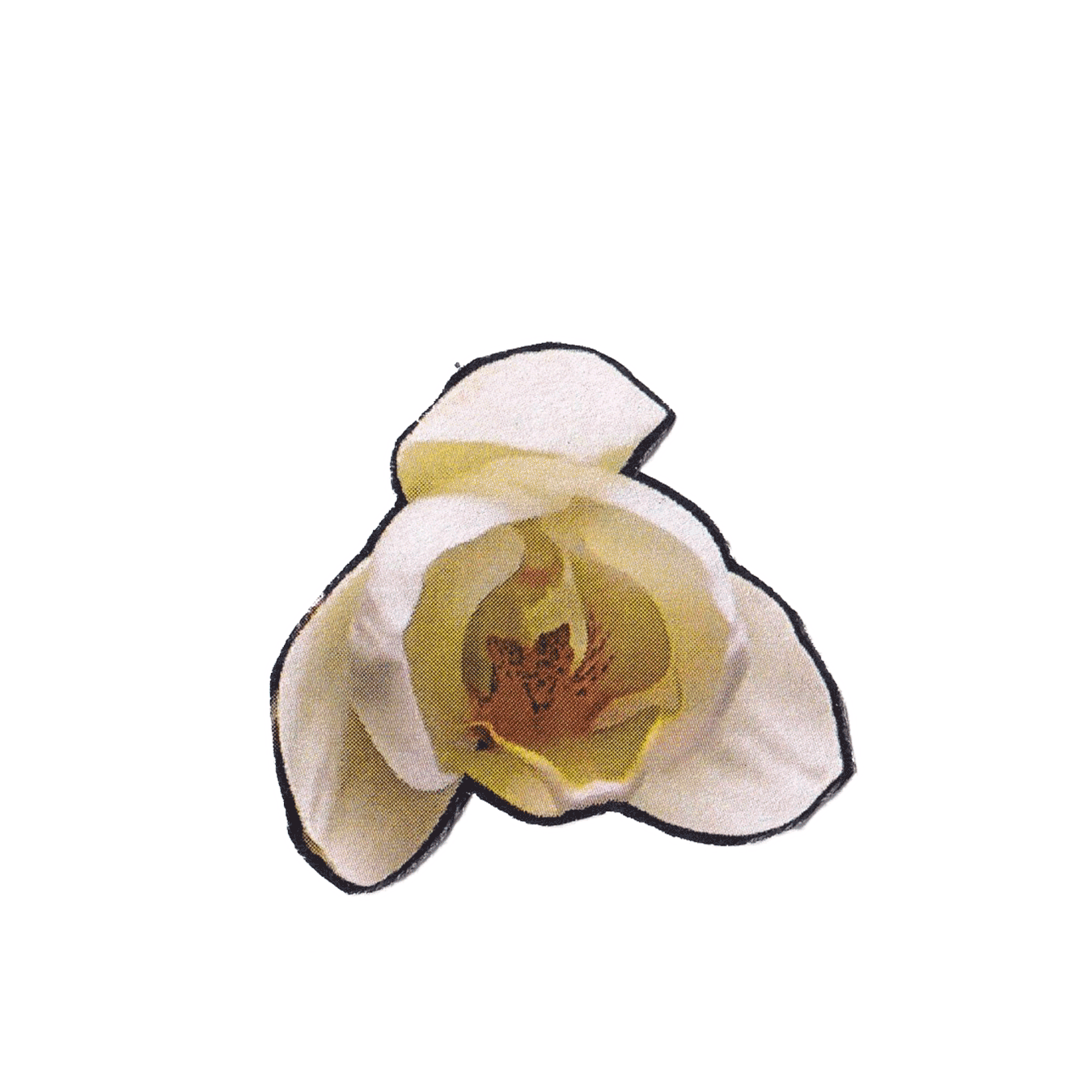 Can't Stop the Spring - Title Sequence