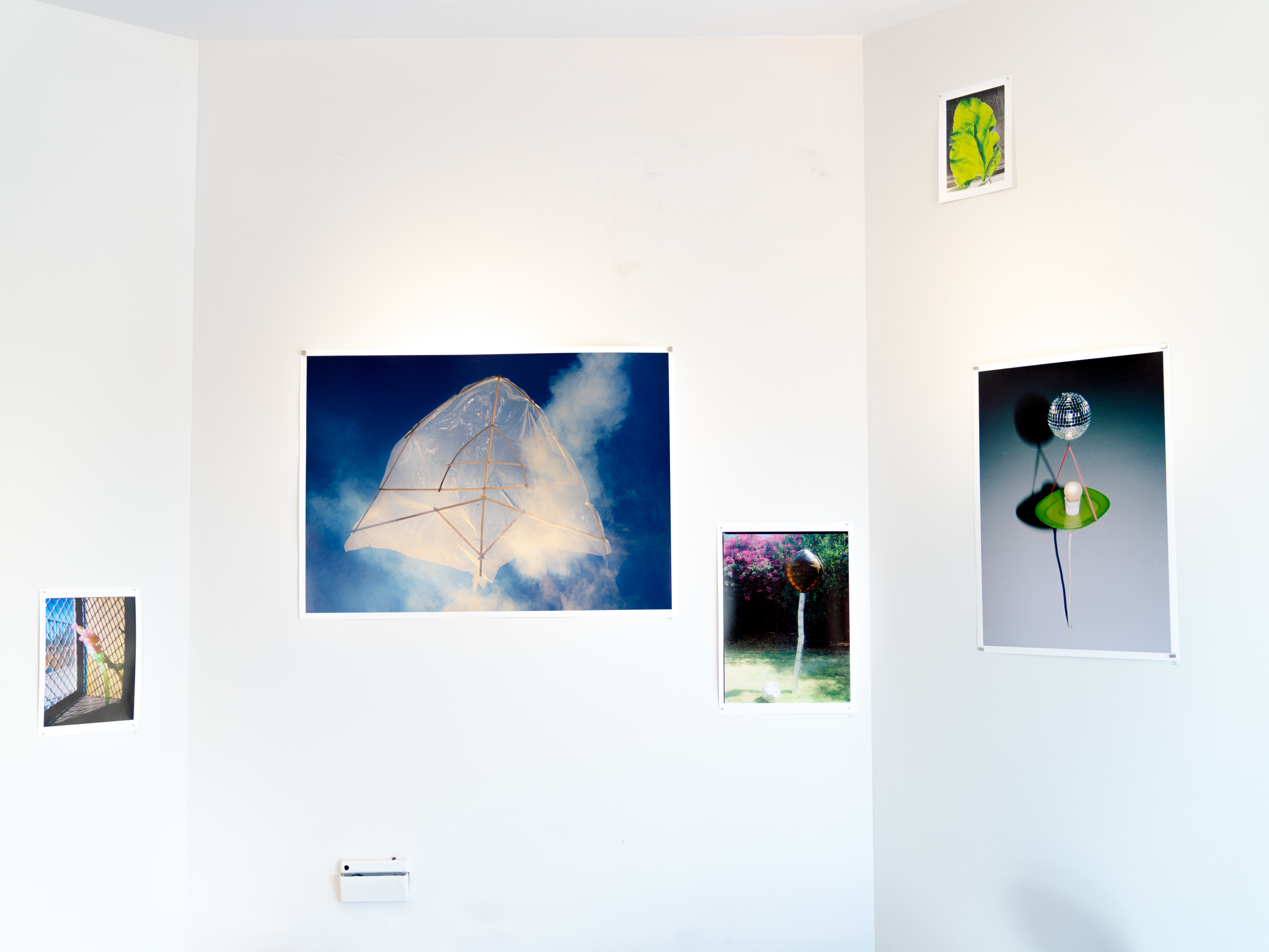 Semaphore installation view at Goodbank Gallery. Image courtesy the artist.