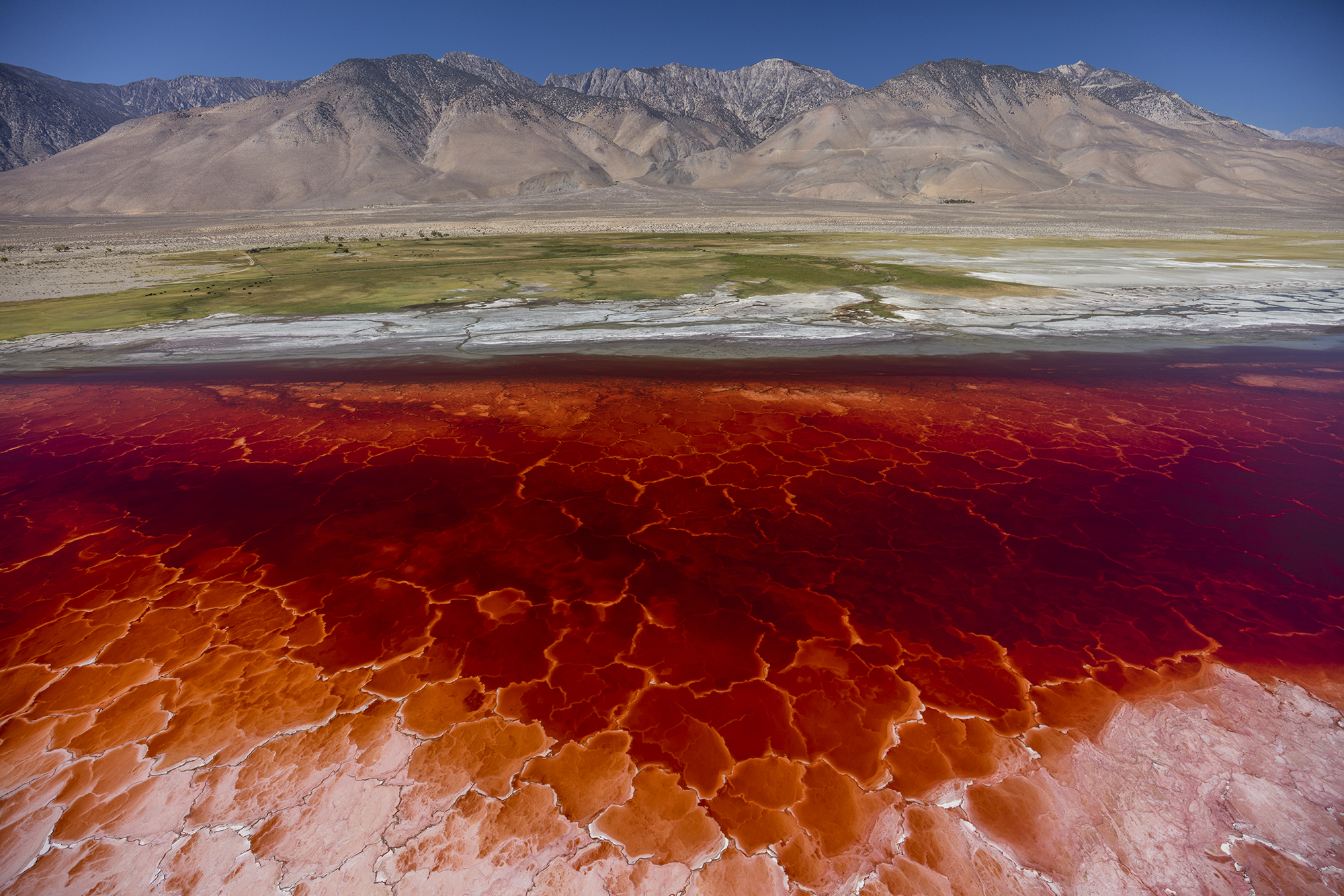 Натрон. Озеро Натрон. Натрон Танзания. Озеро Натрон (Lake Natron), Танзания. Озеро Натрон в Танзании фото.