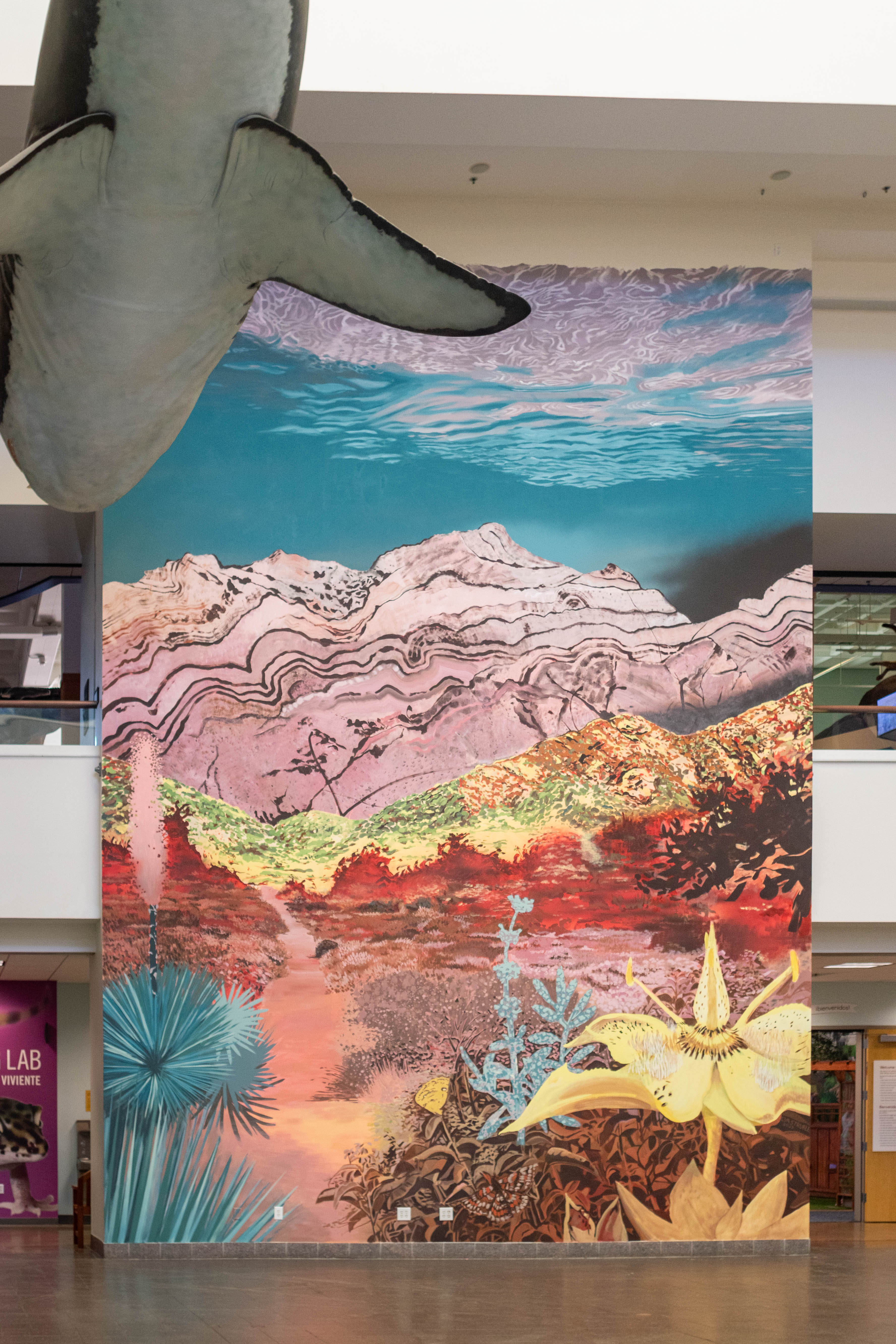 Frasera, Permanent Mural, 20"x30" San Diego Museum of Natural History, San Diego, CA, 2023