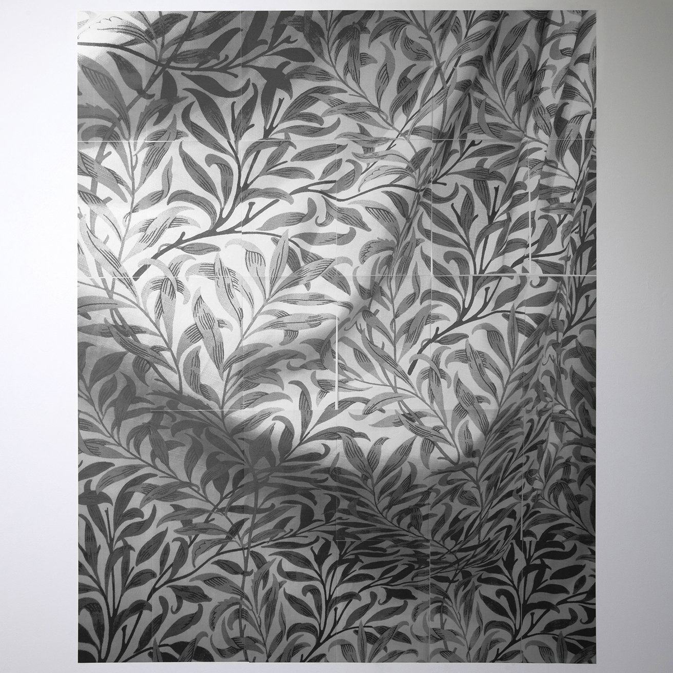 Willow (Drape), 2018