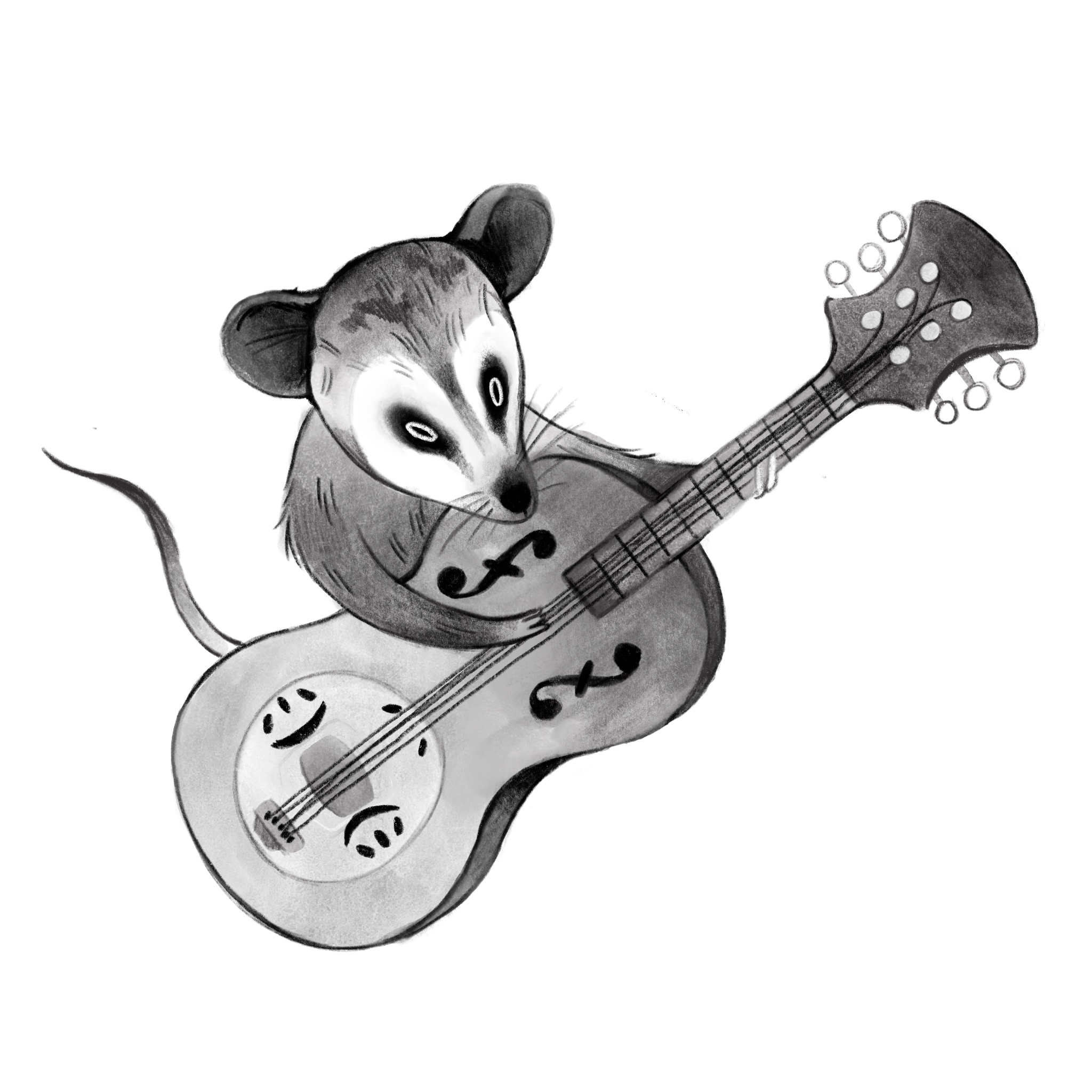 Possum with Guitar