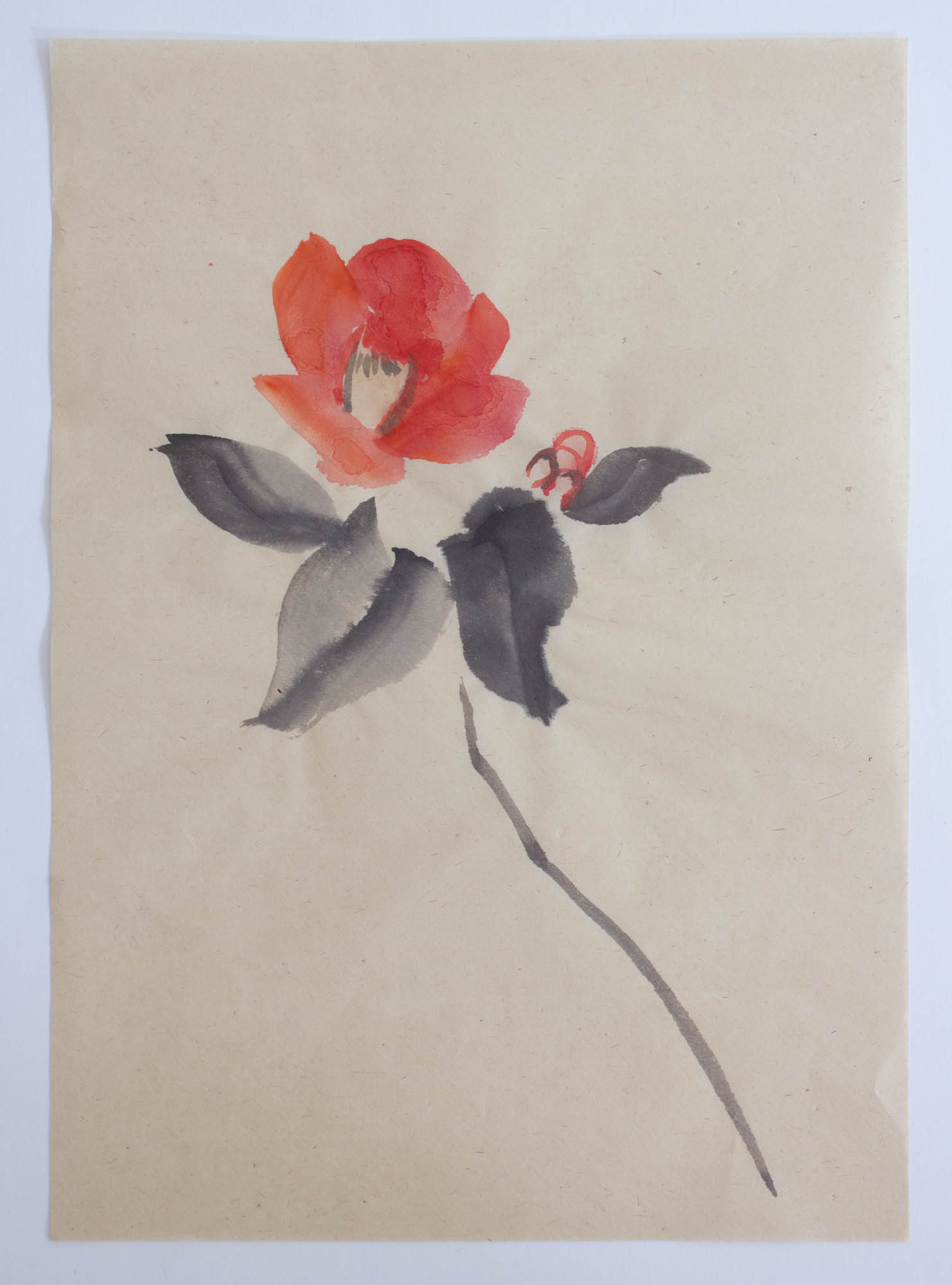Camellia, Sumi-e, 2018, 24x34cm