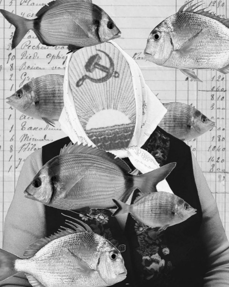 GianGianni de Pizzis