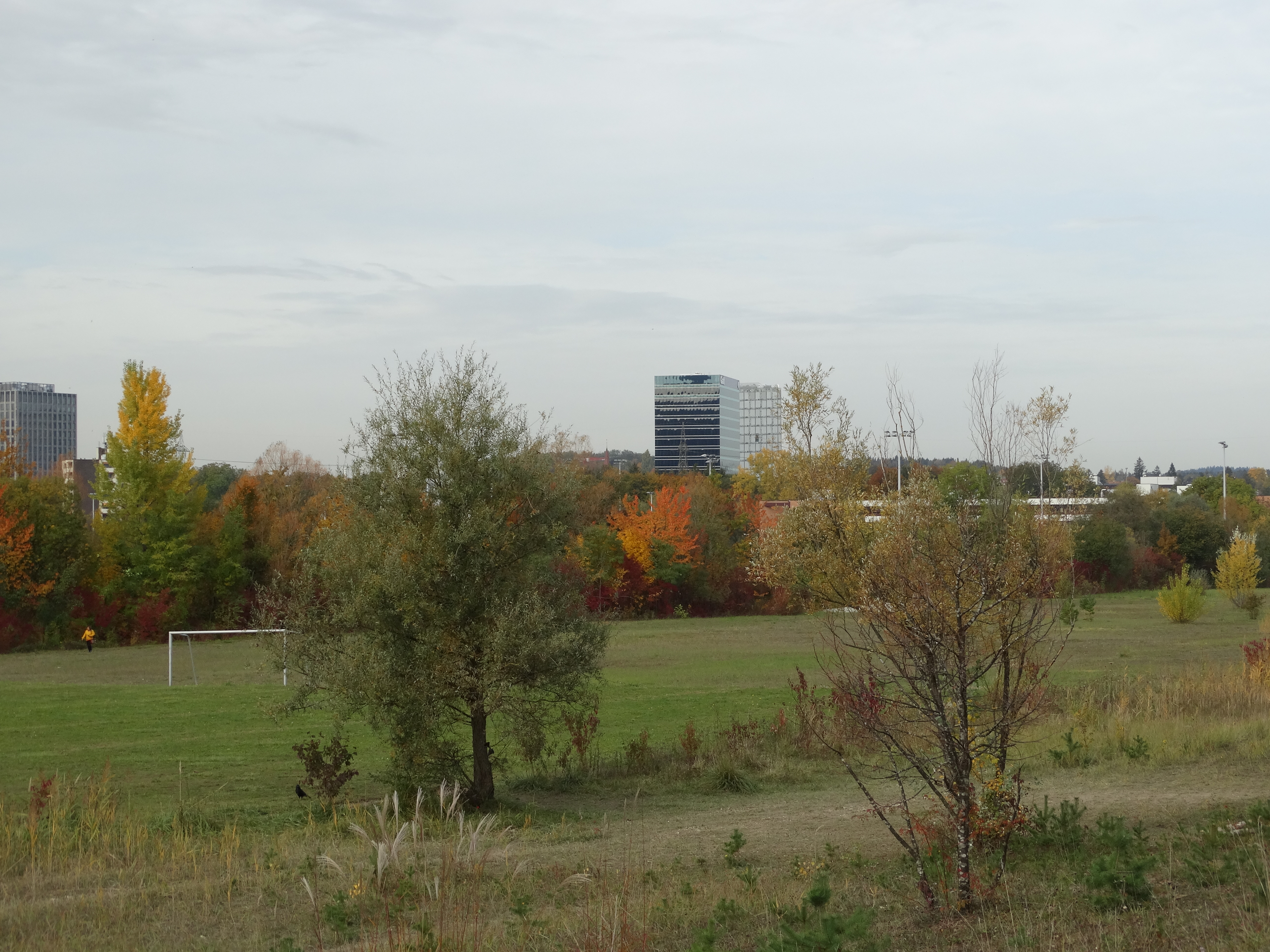 The "Allmend" in Stettbach is already used as a nature experiment.