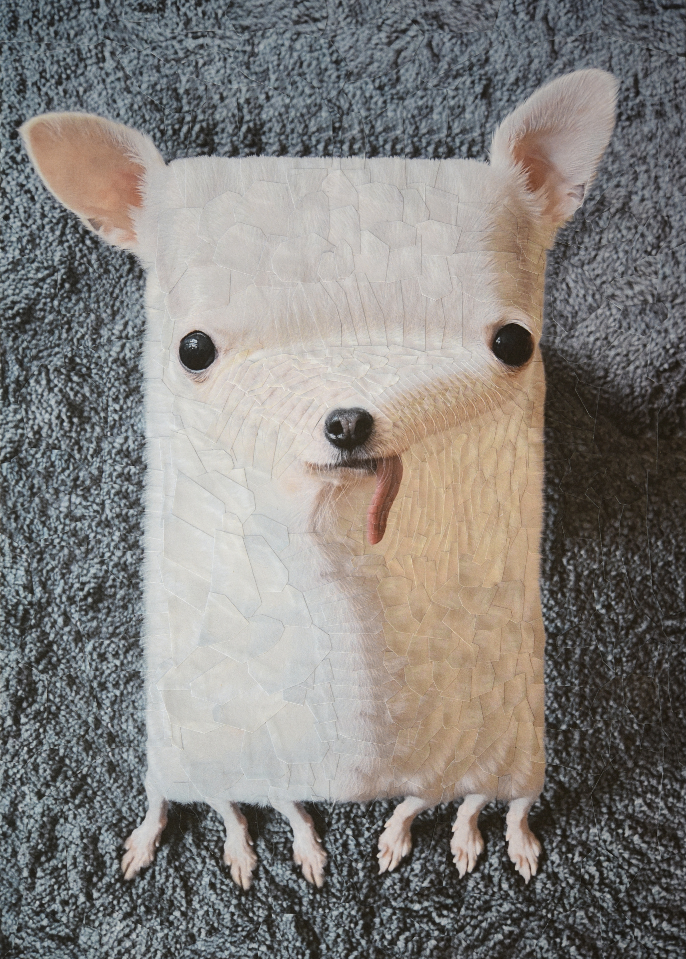 Odie, 2020, 8.2 x 11.6 inches