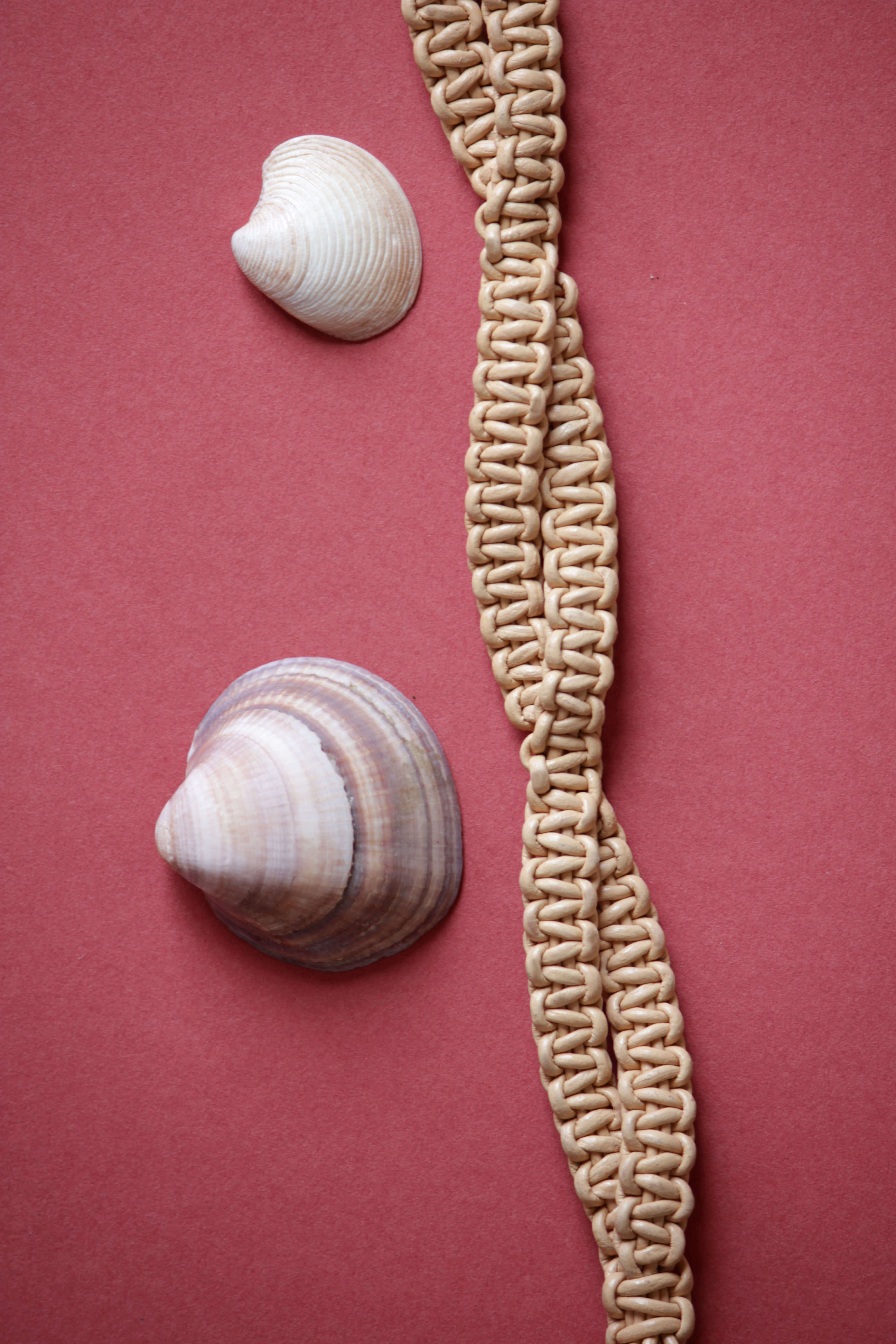 MALENA BELT [ crema ] €80