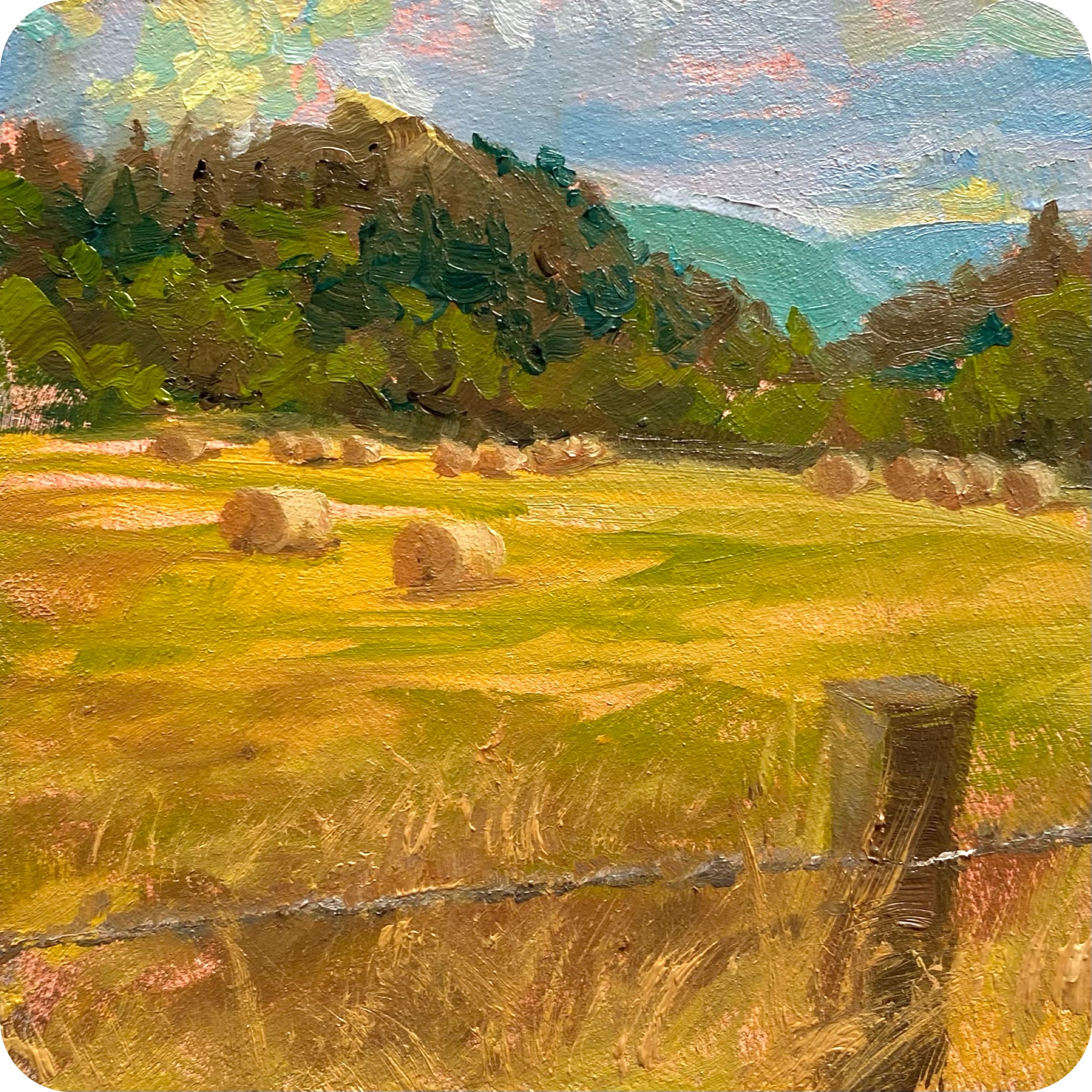 les champs au cantal, 202510 x 10 cm oil on MDF coaster