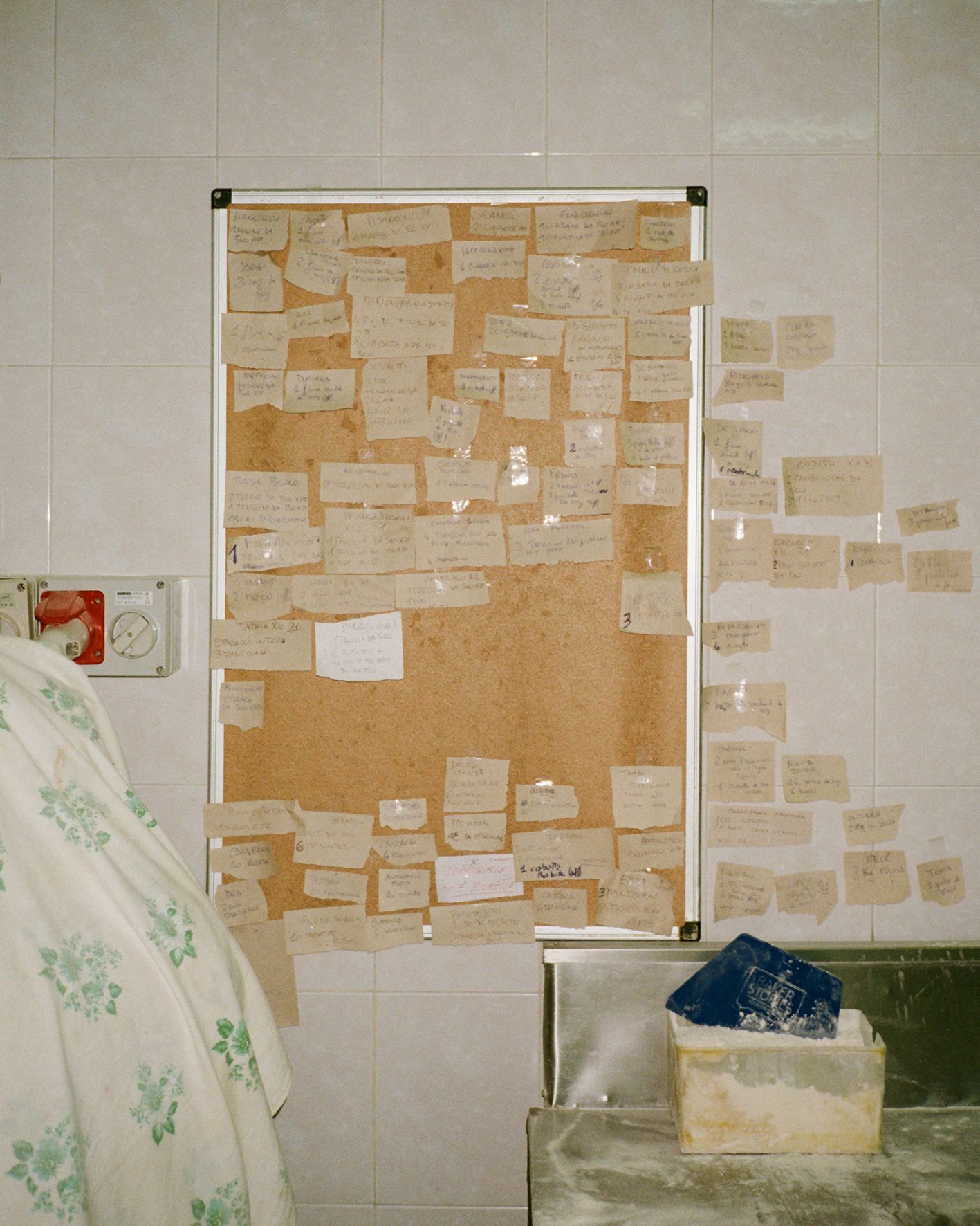 Mio padre_Domingo_Nardulli 