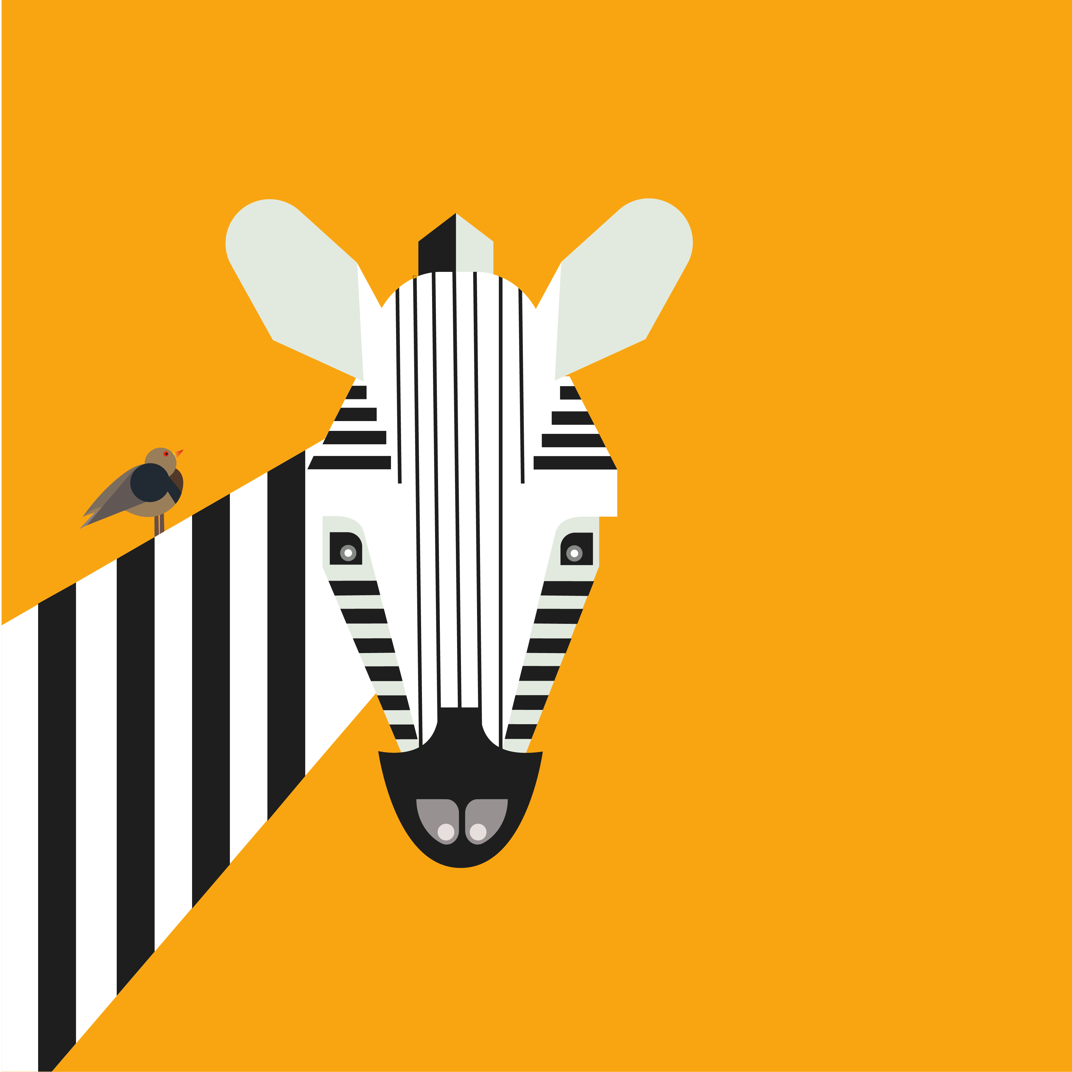 Zuma the Zebra & Otto the Oxpecker