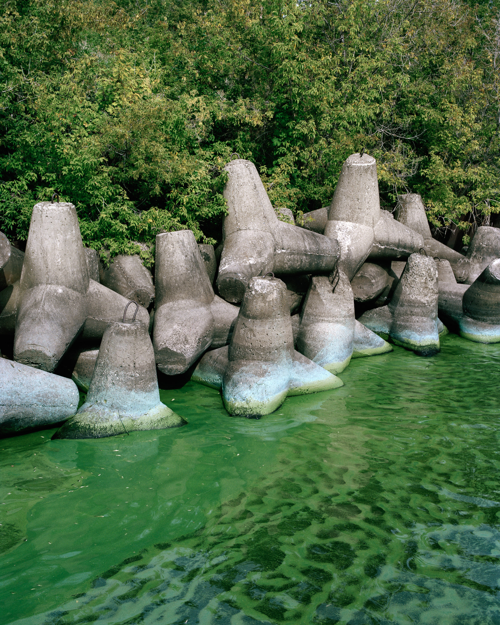 Винновская Роща, Ульяновск, Россия, 2021