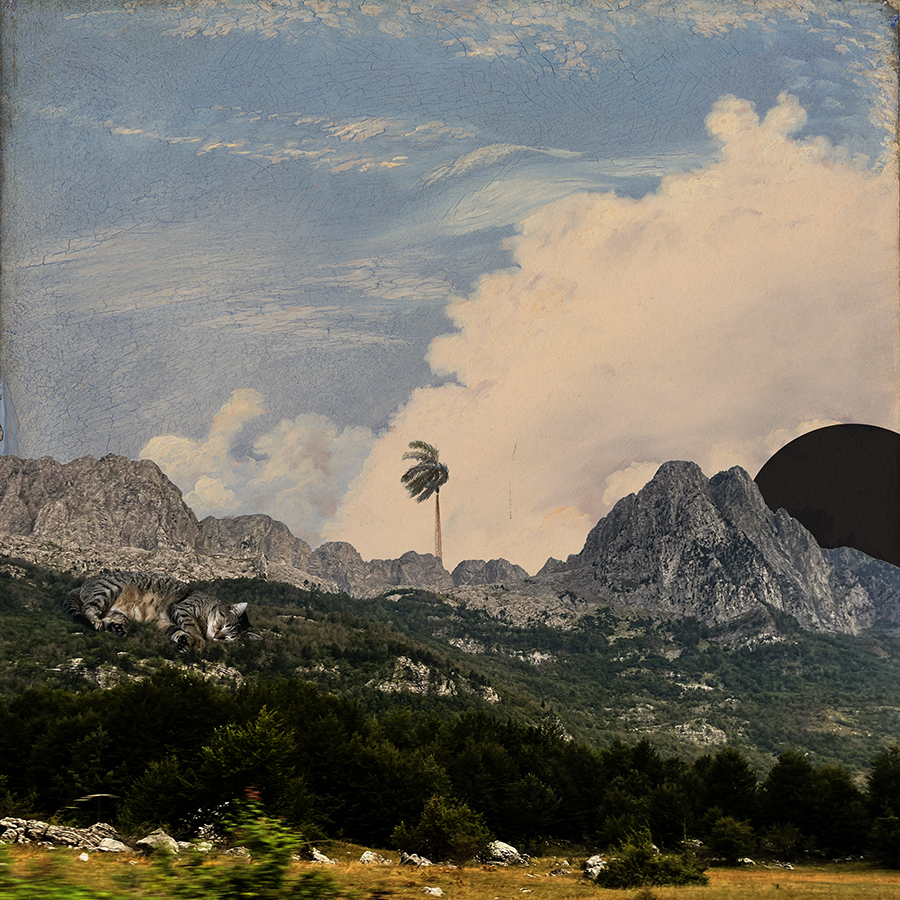 306. ripley the cat, the accursed mountains, the palm, and the black sun 18.02.25