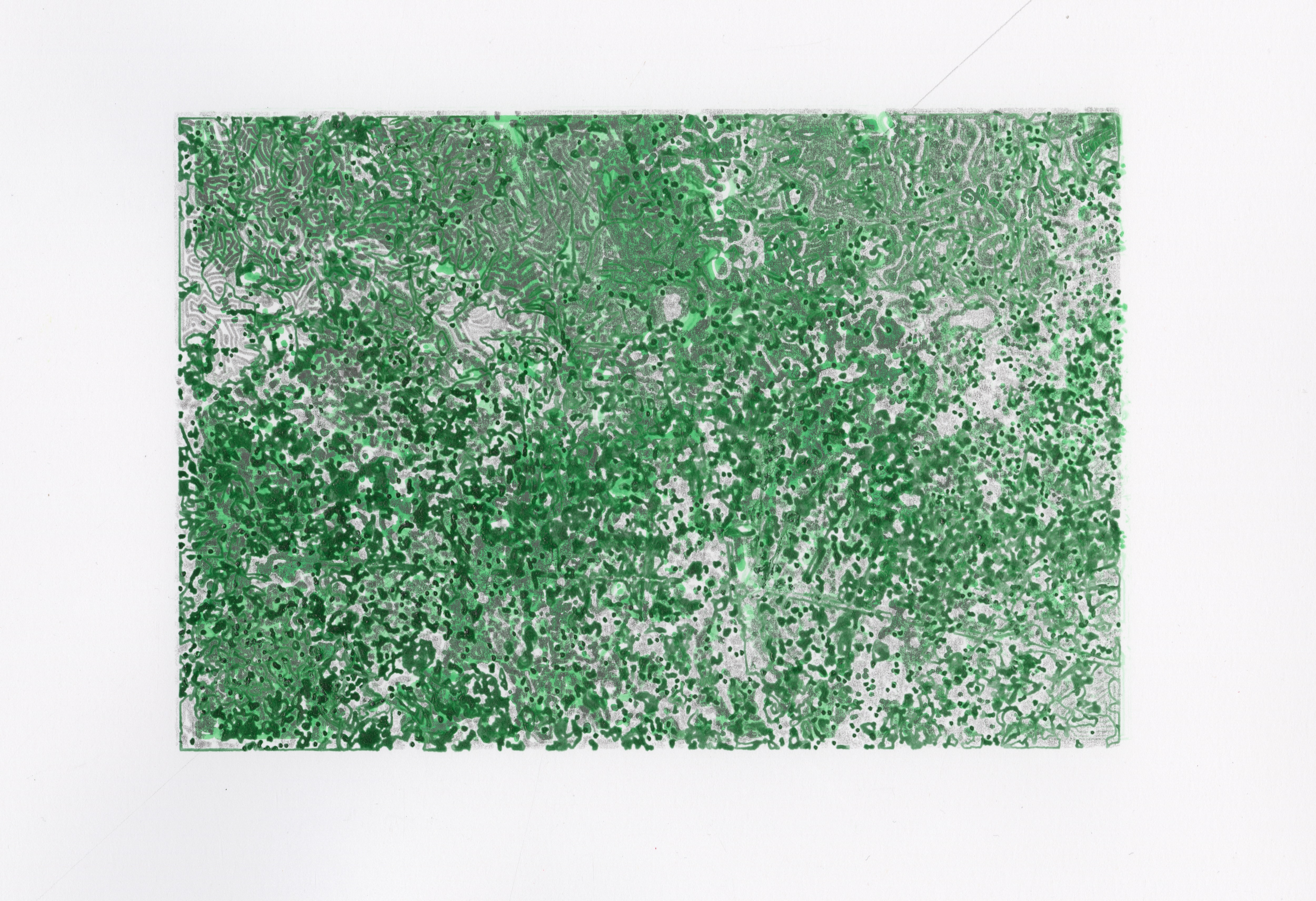 Brooklyn Botanic Garden #7, 2022; Gel ink on paper (3 colors); 11.25 x 7.75