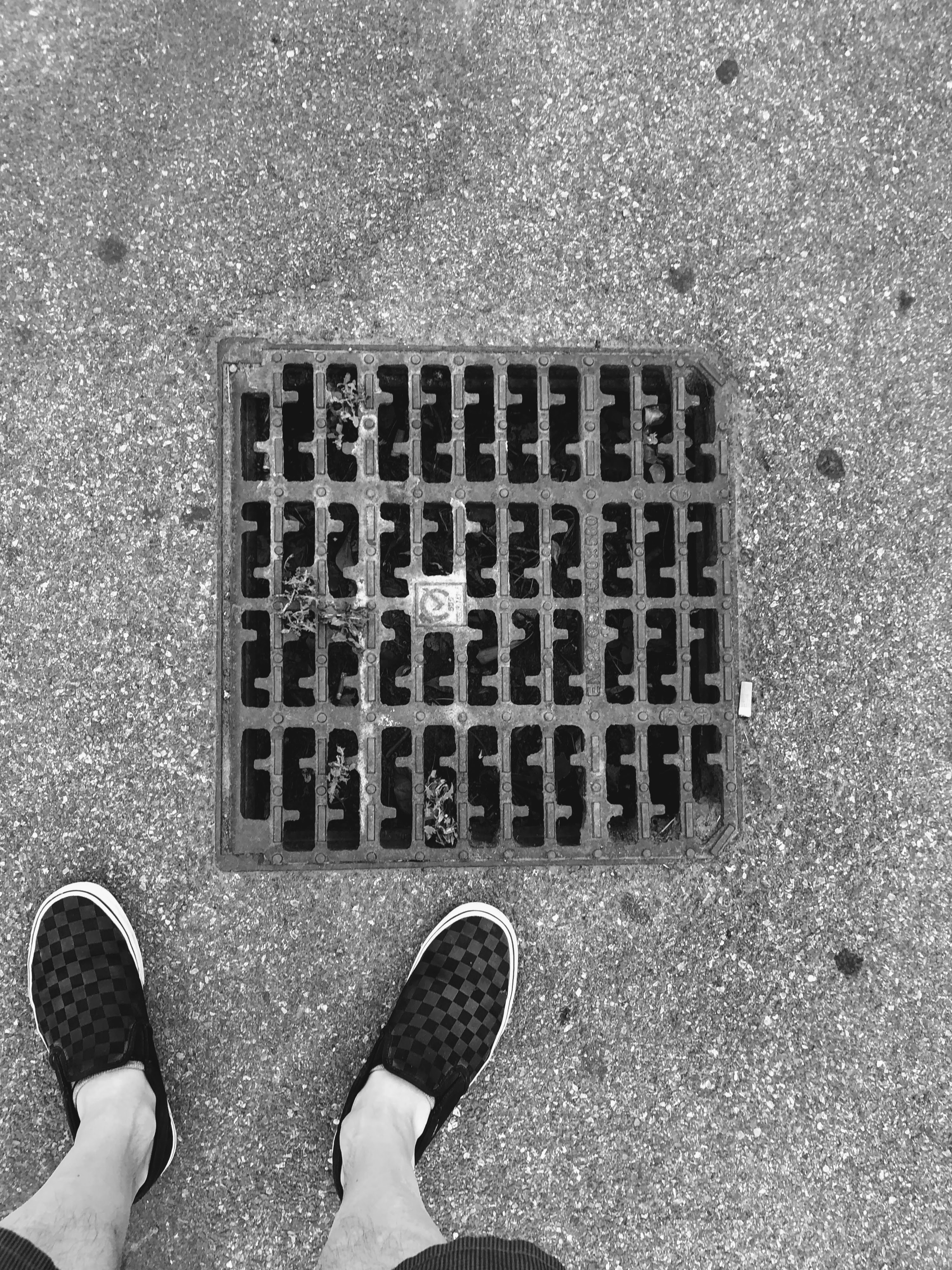 Z e S (o 2 e 5), Bologna, 28-6-18