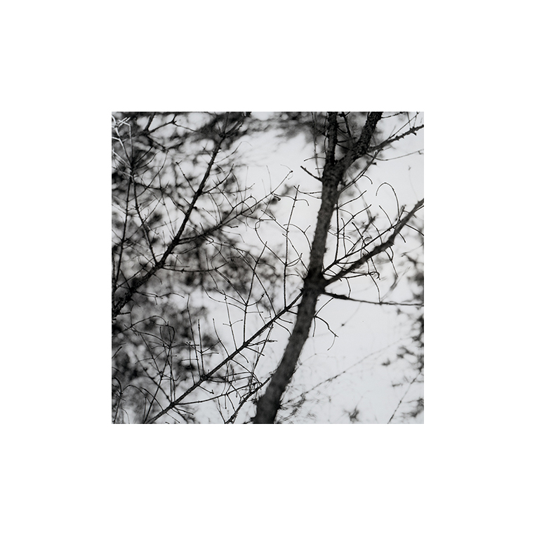 °03, 2015 : Épreuve à la gélatine argentique / Silver gelatin print, 11 x 14 '' (4.5 x 4.5 ")