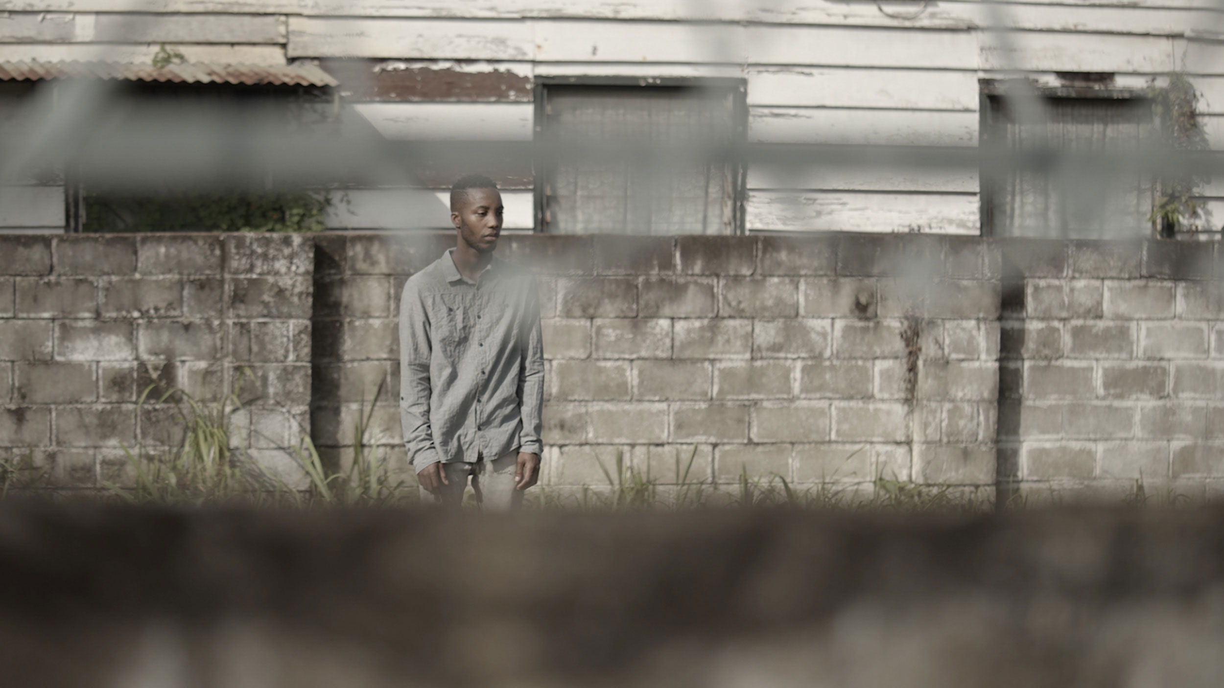 Misty Man, 2024  Still